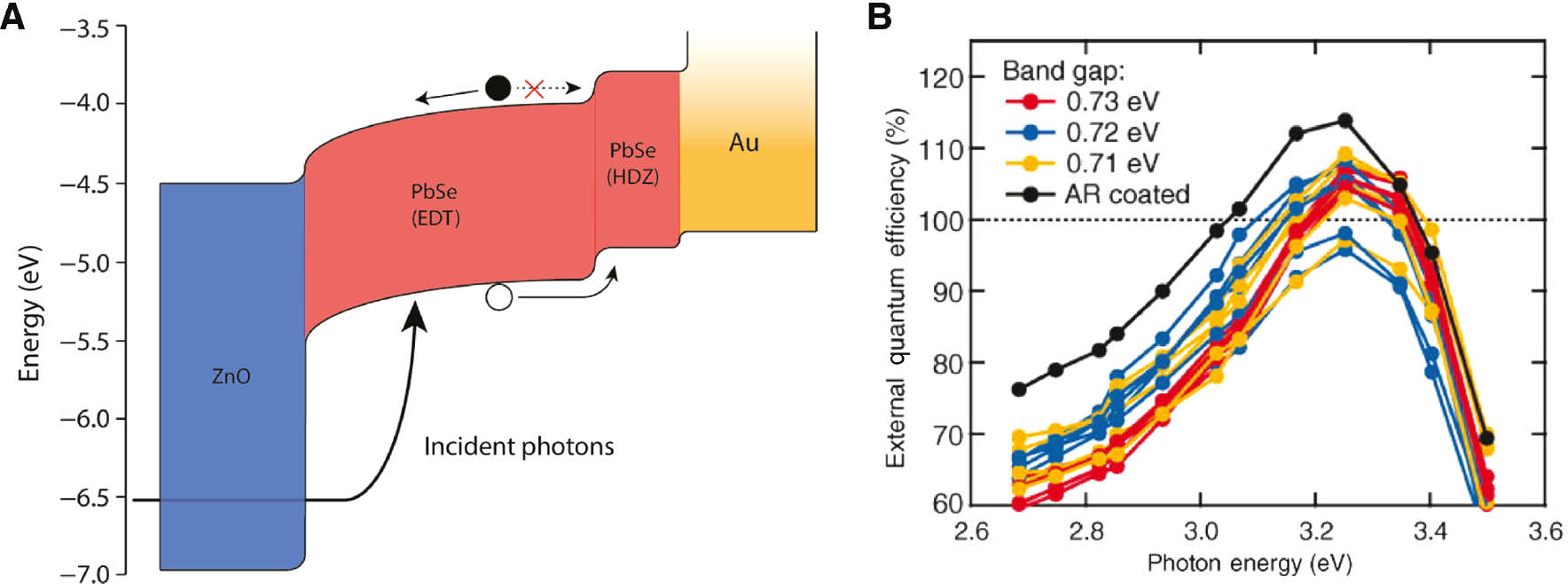 Figure 4: Device architecture and EQEs >100% for PbSe quantum dot-containing solar cells.(A) Energy landscape of a solar cell based upon PbSe QDs which have been treated with 1,2-ethanedithiol (EDT) or hydrazine (HDZ). The difference in doping density in electron acceptor (ZnO) and QD film produces a depletion region within the QD layer, which drives charge extraction after free carriers have been generated. (B) External quantum efficiency (EQE) of the same PV device architecture showing the high-energy region for three different PbSe QD sizes. All QD sizes demonstrate the generation of more than one carrier produced per incident photon at hνphoton=3.3 eV. Part B has been taken from [26].