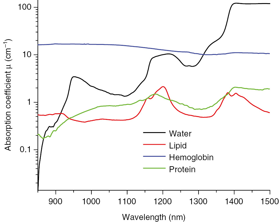 Figure 4: Absorption spectra of major endogenous tissue chromophores: water, hemoglobin, protein (represented here by albumin), and lipids (with permission from [35]).