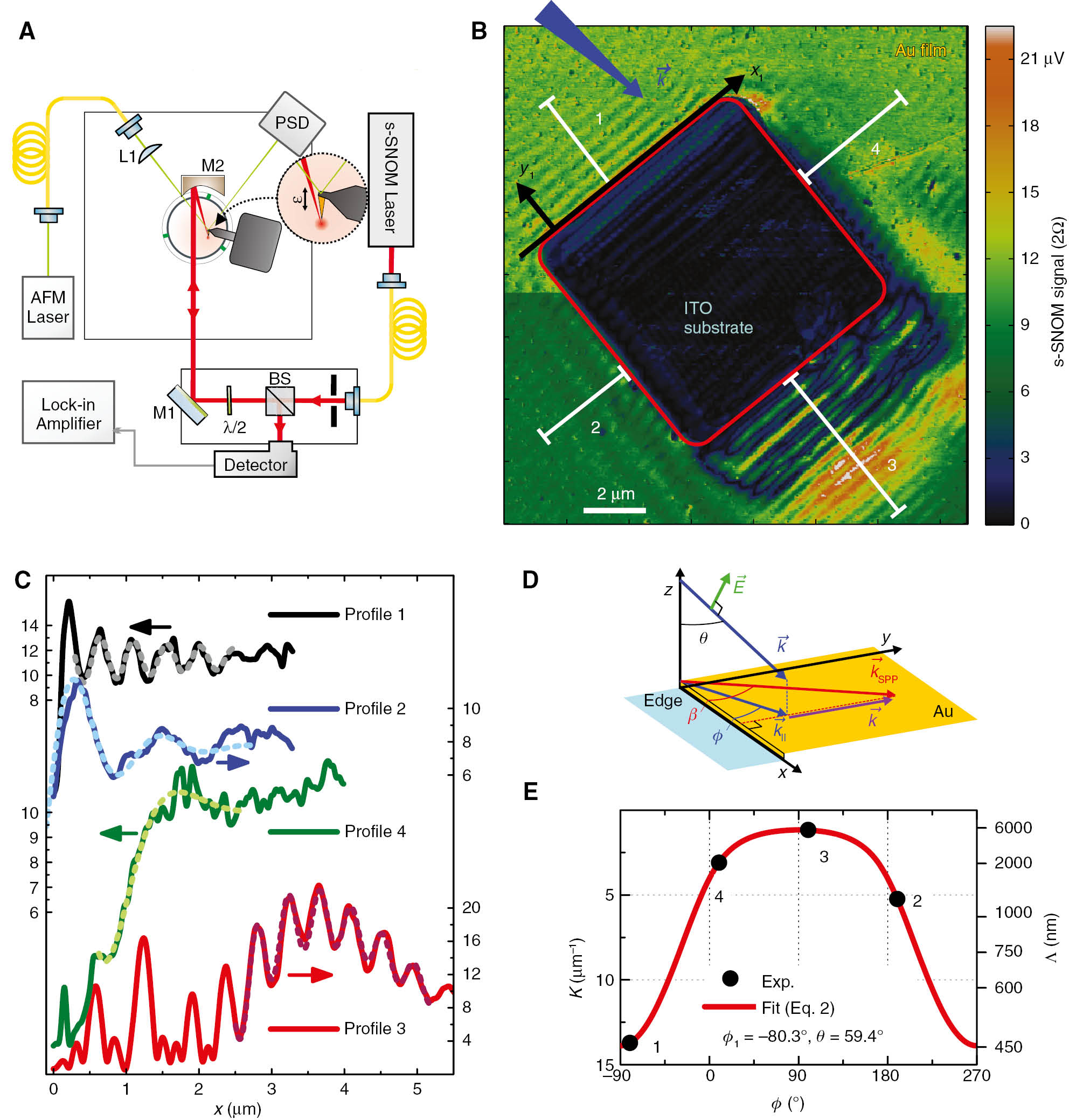 Figure 1: s-SNOM set-up and measurements at a square hole in a gold film on ITO substrate.(A) Set-up with PSD: position-sensitive detector; L1: lens for the position-sensing laser light; M2: paraboloidal mirror with a focal length of 10 mm; λ/2: half-wave plate for the control of the polarization of the light impinging onto the probe tip; BS: beam-splitter for out-coupling of the laser radiation returning from the probe tip. (B) Raster-scan image of the s-SNOM signal taken by translation of the sample under the illuminated tip, which is kept at a fixed position (signal demodulated at 2Ω). The red frame indicates the square hole in the gold film, with its boundaries being determined by simultaneous AFM topography recording (not shown). Also included are the x- and y-axis for region 1. The reduced signal strength in the lower part of the image is the result of a surface contamination picked up by the tip during a line scan in the middle of the scanned area. (C) s-SNOM signal profiles extracted along the white lines in B for each region 1–4 vs. distance y from their corresponding edges. The positions of the lines are chosen such that disturbances by defects on the surface are avoided. Note that the spatial decay lengths of the signal modulation do not represent that of the SPPs alone, as they are excited by the incoming beam that stays fixed to the tip while the sample is scanned. The dotted fit curves yield the oscillation periods mentioned in the text. (D) Schematic wave vectors and angles appearing in Eqs. (1) and (2). k→$\vec k$ and k→SPP${\vec k_{{\text{SPP}}}}$ denote the wave vectors of the incoming beam and the SPP launched at the edge, respectively, while K→=k→SPP−k→∥$\vec K = {\vec k_{{\text{SPP}}}} - {\vec k_\parallel }$ denotes the expected wave vector of the observed s-SNOM interference signals. (E) Wavelengths Λ of the SPP interference fringes vs. respective azimuthal angle ϕ and model curve using Eq. (2).