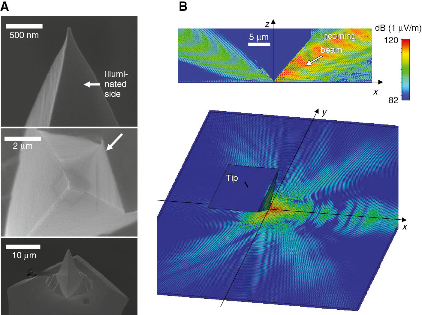 Figure 3: Shape of the probe tip and simulated field distribution (CST calculations).(A) Scanning electron-beam micrographs of a probe tip with the spatial resolution increasing from the bottom to the top (top view in the middle, otherwise side views). The base of the tip has an asymmetric quadrilateral pyramidal shape, which changes toward the apex into a triangular pyramidal form. The ridge facing toward the front of the cantilever disappears, leaving a slightly curved, outward-bulging surface in the vicinity of the apex. The white arrows indicate the directions of illumination in the s-SNOM apparatus. (B) Calculated electric field at the surface of a gold plate on which a square pyramidal metal tip (apex angle: 30°, radius of curvature of tip: 20 nm), a distance of 50 nm above the plate, is illuminated with coherent radiation (wavelength: 857 nm) incident from the right (axis in the xz-plane, θ=58°). The laser beam, taken to have a Gaussian cross-section and focused to a beam waist diameter of 4 μm (half-maximum), is launched from a tilted field port placed ~10 μm in front of the probe tip. The beam is p-polarized. The data display the magnitude of the field component normal to the plane (|Ez|, logarithmic scale) for an arbitrary moment in time. The upper panel shows the corresponding field in the xz-plane.