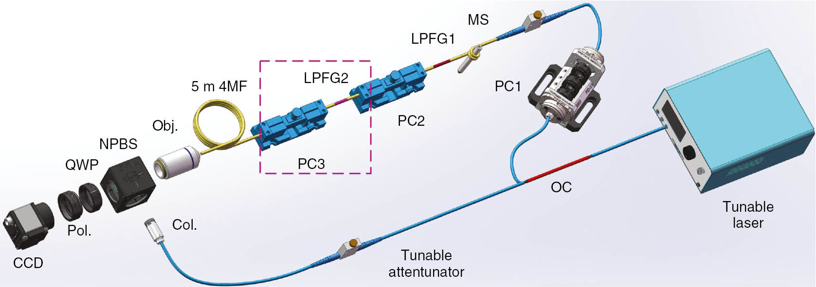 Figure 3: Experiment setup for the generation, conversion, and detection of CP-OAM beams using a circularly polarized interference apparatus.Col., collimator; LPFG, long-period fiber grating; MS, mode stripper; NPBS, non-polarization beam splitter; QWP, quarter-wave plate; OC, optical coupler; PC, polarization controller; Pol., polarizer.