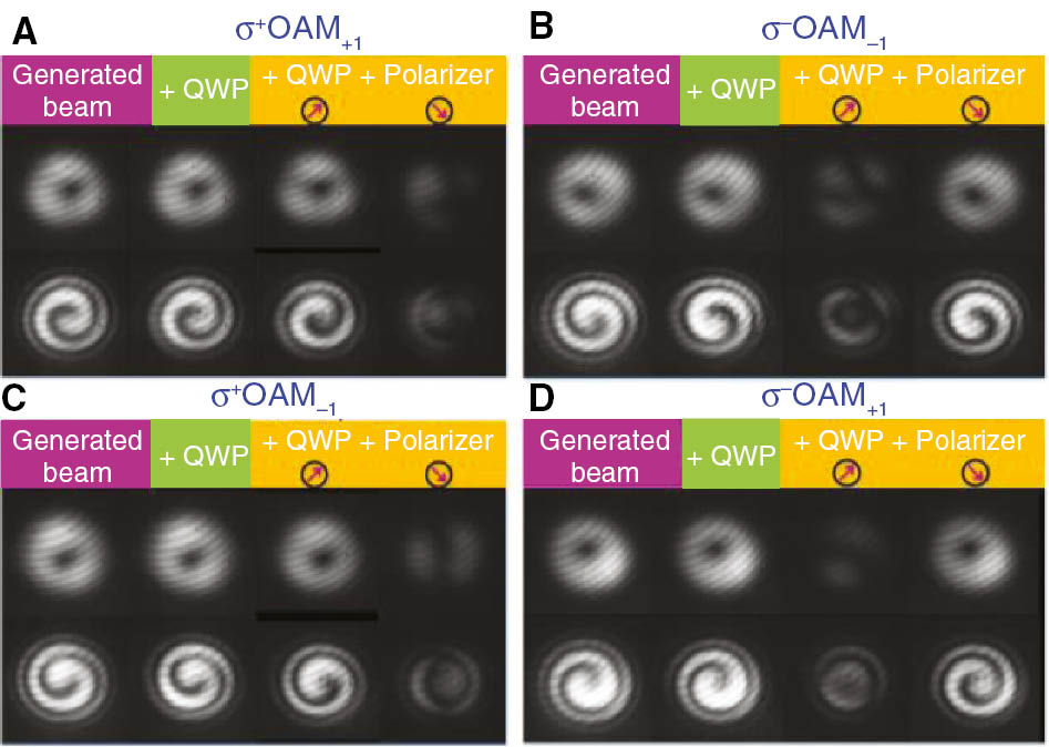 Figure 5: Intensity and interferogram of the generated (A) σ+OAM+1, (B) σ−OAM−1, (C) σ+OAM−1, (D) σ−OAM+1.