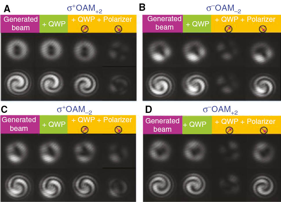 Figure 7: Intensity and interferogram of the generated (A) σ+OAM+2, (B) σ−OAM−2, (C) σ+OAM−2, (D) σ−OAM+2.
