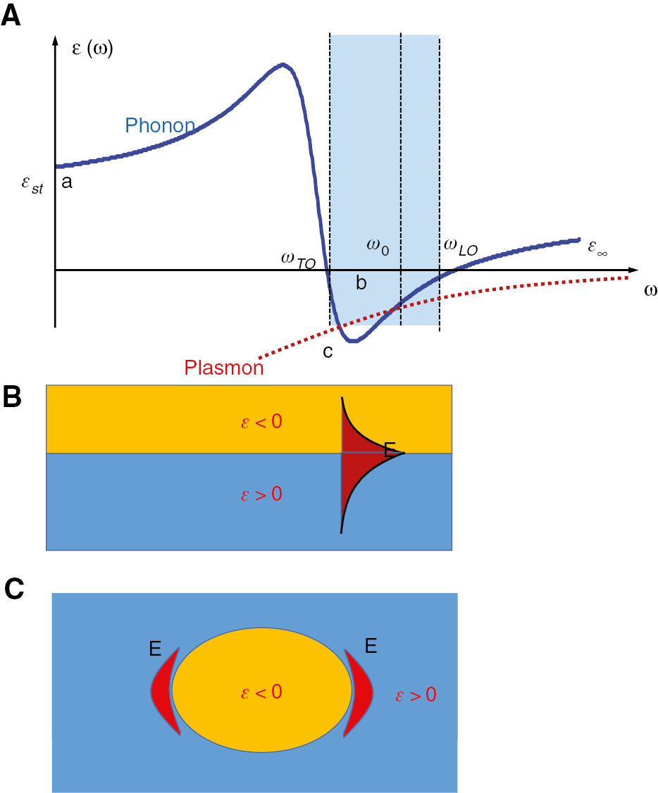 Figure 1: Origin of surface phonon polaritons (SPhPs).(A) Dispersion of phonons and plasmons. The regions A, B, and C correspond to three different ways to achieve a resonant mode: dielectric resonator, SphP, and SPP, respectively. (B) Propagating SPhP. (C) Localized SPhP.