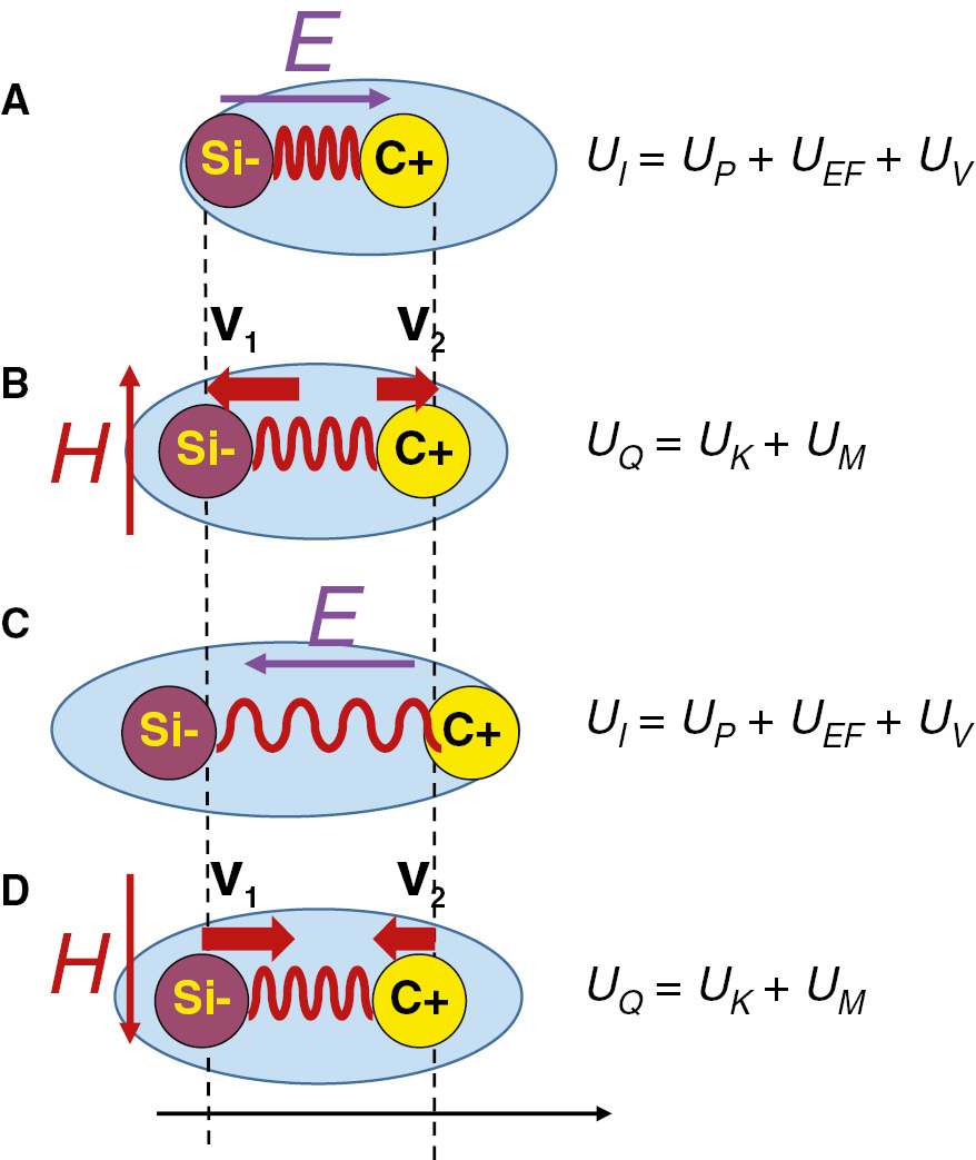 Figure 2: Energy breakdown in the polar dielectric material excited by the electromagnetic field for four different times within oscillation period T: (A) t=0, (B) t=T/4, (C) t=T/2, (D) t=3T/4.