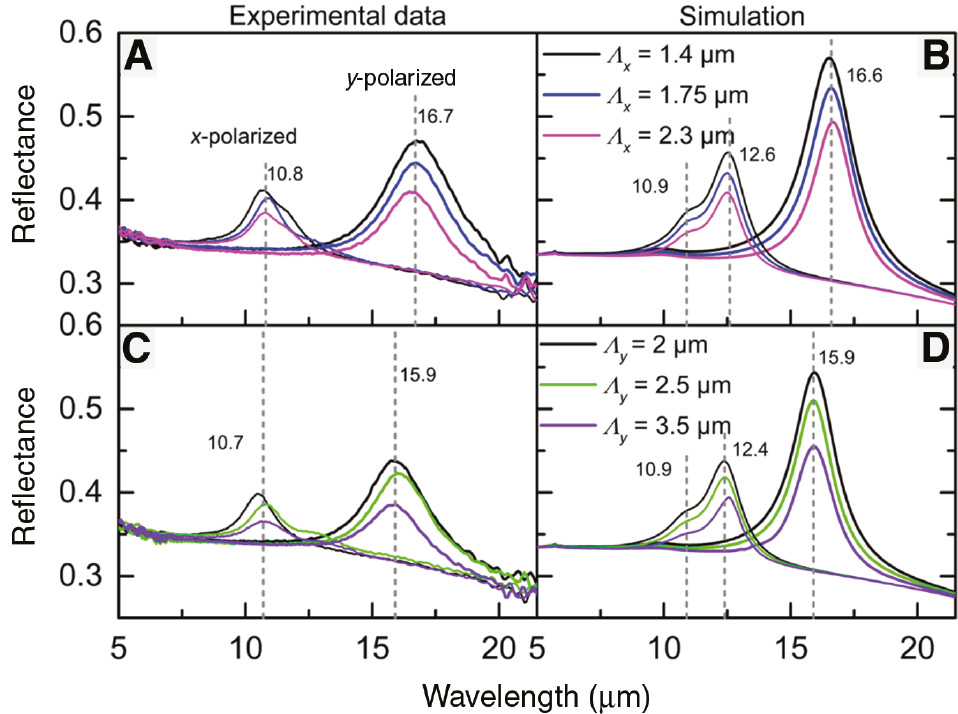Figure 4: Experimental (A, C) and simulated (B, D) reflectance spectra of rectangular nanoantennas.(A and B) Variation of the periodicity in the x direction. The periodicity in the y direction is fixed (2 μm). Measured nanoantenna dimensions are wx=450±30 nm, wy=830±30 nm; in simulations wx=450 nm, wy=830 nm were used. (C and D) Variation of the periodicity in the y direction. The periodicity in the x direction is fixed (1.4 μm). Measured nanoantenna dimensions are wx=430±30 nm, wy=760±30 nm; in simulations wx=430 nm, wy=760 nm.