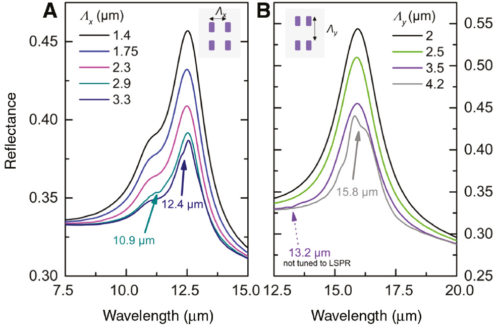 Figure 5: Simulated reflectance spectra of rectangular nanoantenna arrays with large periodicity with a diffractive grating mode spectrally tuned to the LSPR peak.For comparison, the spectra from Figure 4B and D are shown where the diffractive modes are not tuned to the LSPR. (A) Variation of the transverse periodicity Λx. Only the transverse LSPR is shown. Values of the periodicity are chosen so that diffractive modes at the array-substrate interface propagating in the x direction are spectrally tuned to the transverse (x polarized) resonances. Arrows indicate the wavelengths where the diffractive modes can be observed. (B) Variation of the longitudinal periodicity Λy. The periodicity was chosen to obtain the diffractive mode propagating in the y direction in resonance with the longitudinal (y polarized) resonance. Note that a feature appears for the grating with a periodicity of 3.5 μm at 13.2 μm, indicated by the dashed arrow, which is weakly visible compared to the diffractive feature in resonance with the LSPR for the periodicity 4.2 μm.