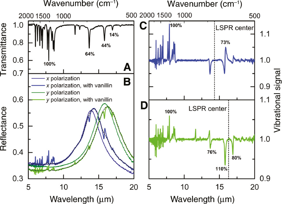 Figure 6: (A) Transmittance spectrum of vanillin, shown as a reference. (B) Reflectance spectra of the nanoantenna array covered with vanillin (thick lines). Thin lines are spectra before vanillin deposition on the same sample position. The black dashed lines are fits using Eiler’s smoothing algorithm, excluding the vibrational features. The Fano line shape of the vibrational features spectrally covered by the large LSPR evidences the coupling between the LSPR and the narrow vibrational lines. The sample size area was 150×150 μm2. In this area, around 11,500 antennas are located. (C) Measured data in x polarization normalized to Eiler’s fit. Percentage values indicate the signal strength with respect to the reference line at 7.9 μm to which an intensity of 100% was assigned. The LSPR center wavelength is indicated (black dashed line). (D) Measured data in y polarization normalized to Eiler’s fit. Percentage values are indicated for lines with significant enhancement compared to the reference spectrum (more than 10 percentage points increase compared to the relative intensities in the reference spectrum).