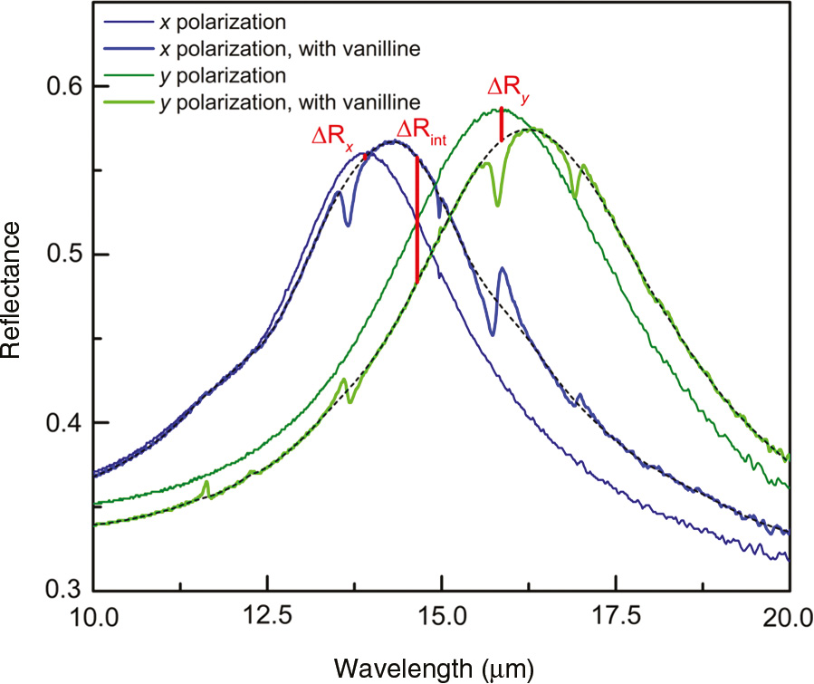 Figure 7: Detail of Figure 6B.The signal strengths for SPR sensing with an intensity-based readout at the wavelengths corresponding to the maximum of the transverse resonance (ΔRx), of the longitudinal resonance (ΔRy) and the intersection point (ΔRint) are highlighted by the red lines.