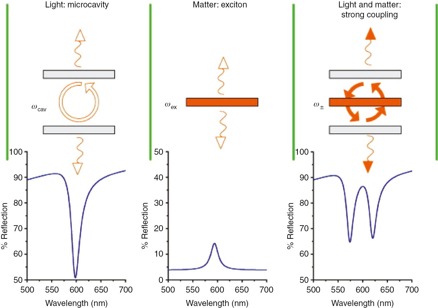 Figure 2: Sketch of the reflectance spectra showing the results of the strong coupling of light and matter.The microcavity (light) and matter (exciton layer) are provided with resonant frequencies of XL and XM. When strong coupling arises, the integrated system represents new resonances at X−+$X_ - ^ + $ [82].