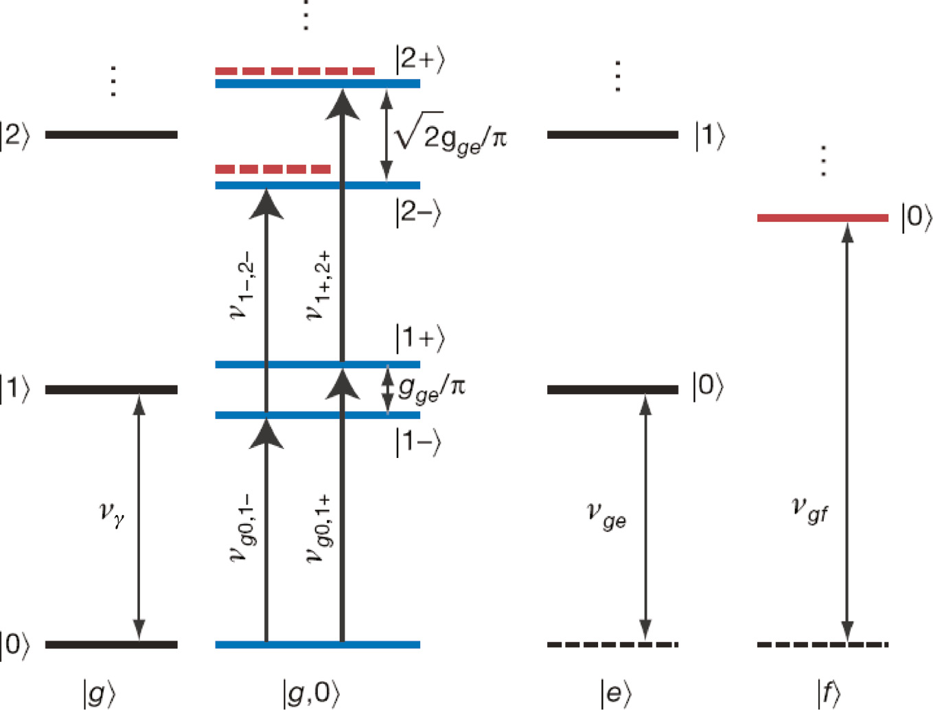 Figure 4: Diagram shows a resonant cavity-QEDs.|g〉, |f〉,$|g\rangle ,{\rm{ |}}f\rangle ,$ and |e〉$|e\rangle $ are uncoupled qubit states and |0〉, |1〉,$|0\rangle ,{\rm{ |}}1\rangle ,$ and |2〉$|2\rangle $ are photon states. νγ is the frequency of cavity and νge is the frequency of transition between the ground state |g〉$|g\rangle $ and the excited state |e〉.$|e\rangle .$ The blue line represents the dipole-coupled dressed states. The energy of all ground states is represented by black lines. Pump and probe transitions are given as (νg0,1−, νg0,1+) and (ν1−, 2−, ν1+, 2+), respectively [108].
