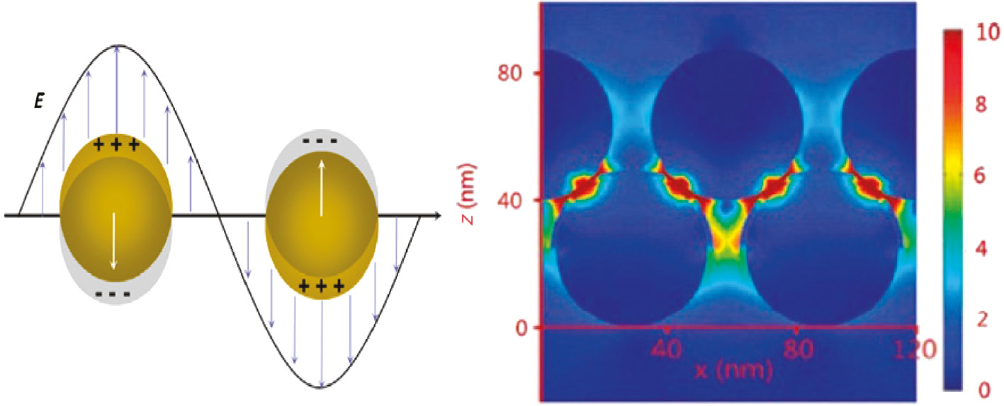 Figure 9: Sketch of the mechanism of laser irradiation to gold or sliver nanostructured surfaces.The left image shows local surface plasmas caused by collective oscillations of charge on the surface of metal nanoparticles [47]. The right image is the distribution of the EM field intensity, which is simulated by the finite element method [166].