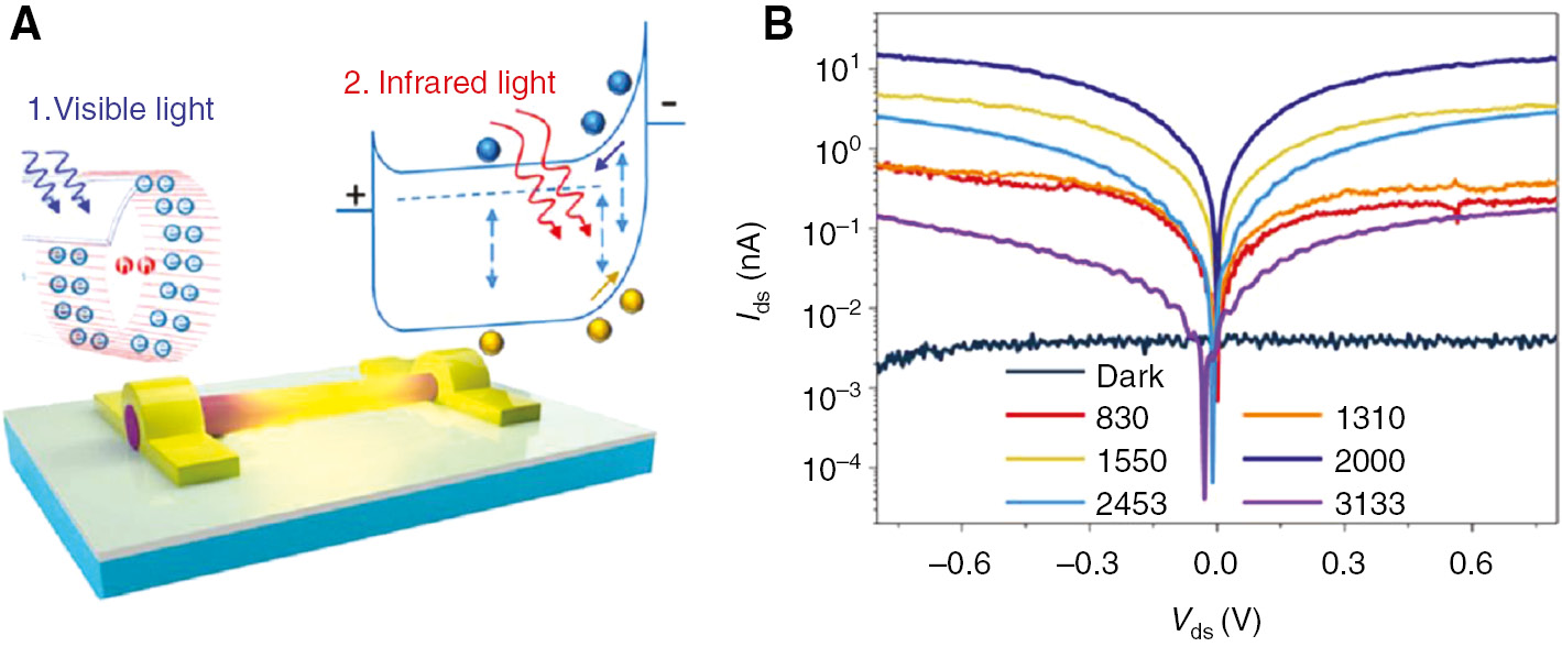 Figure 6: Schottky Ohmic contacted InAs NW photodetectors.(A) Schematic of InAs Photoconductor NW operating at visible to NIR regime. (B) The IV characteristics under different illumination wavelengths at the same power density (0.75 mW/mm2) [100].