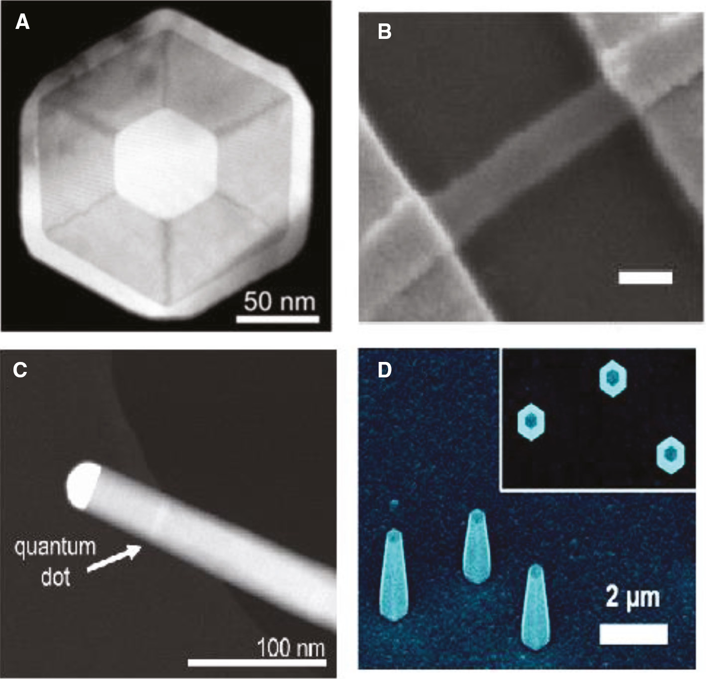 Figure 7: Different types of semiconductor NW: (A) GaAs/AlGaAs (core-shell) [104], (B) MSM based on CdS nanowire [105], (C) high-resolution TEM image of an InP nanowire with an embedded InAsP quantum dot [106] and (D) GaAs-based avalanche photodiode (APD) nanoneedles [107].