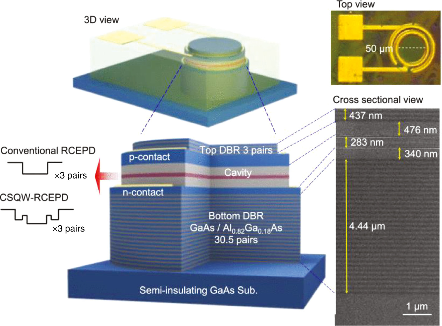 Figure 11: 3D schematic illustration, top view microscope image and cross-sectional scanning electron microscope image of the fabricated RCEPDs [181].