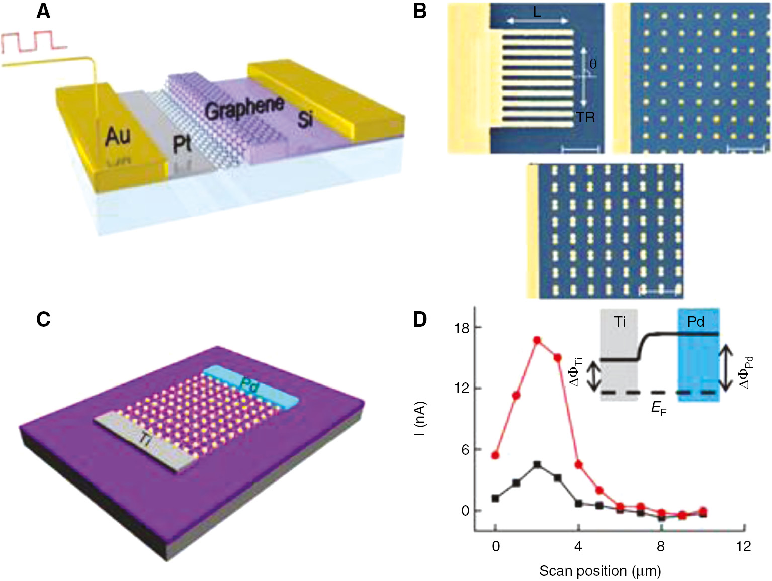 Figure 14: Photodetection enhancement by metallic plasmonics and graphene.(A) Schematic of a monolayer graphene sheet is on top of a silicon bus waveguide [202]. (B) Different metallic structure to enhance the performance of grapheme-based device. Scale bar=1 μm [203]. (C) Schematic diagram of a grapheme-based photodetector with asymmetric metal contacts (Ti and Pd) decorated with Au nanostructures. (D) Photocurrent profile with laser scanning from outside of the Ti electrode (black line: normal graphene device; red line: plasmon resonance-enhanced graphene device). The inset shows the band profile of the asymmetric metal-contacted graphene photodetector [204].