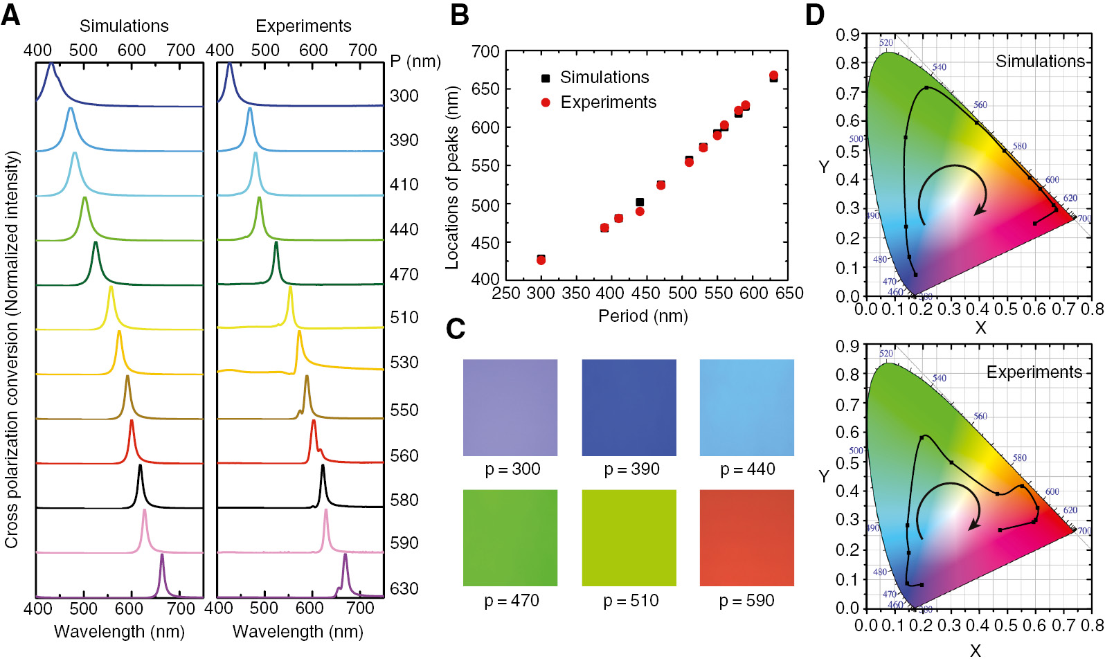 Figure 2: (A) Simulated and experimentally measured reflectively cross-polarized spectra of the PSG when the period varies from 300 to 630 nm. All the values are normalized to their respective maxima. (B) Reflective peak locations of the simulated (black squares) and measured (red circles) results shown in (A). (C) Experimental images of the colors captured by the CCD camera. A broad palette of color with high contrasts is realized. (D) Chromatic coordinates in the CIE 1931 diagram obtained from the simulated and measured spectra. Black arrows indicate the variable tendency according to the increasing of grating period.