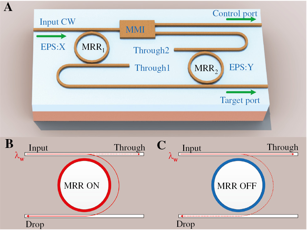 Figure 1: Schematic of the proposed device and switching element. (A) Schematic of the proposed optical Feynman gate (CW, continuous wave; MRR, micro-ring resonator; EPS, electrical pulse sequences; MMI, multimode interference coupler), the control port can implement the function A=X and the target port can implement the function B=X⊕Y. Configurations of MRR-based switching element at (B) ON state and (C) OFF state.