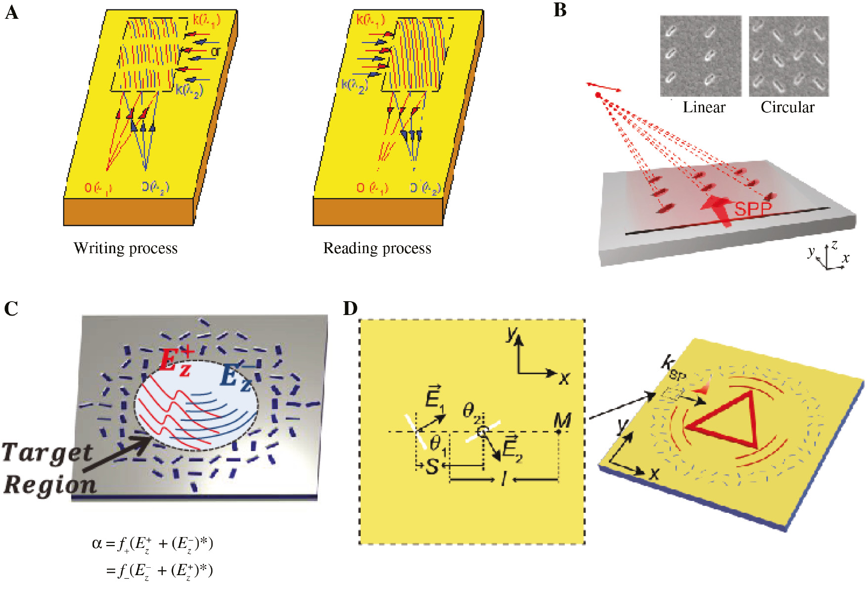 Figure 7: Surface wave holography.(A) Schematic of the writing and reading process of in-plane surface holography for multiple wavelengths [90]. (B) Design of the metasurface for the four-fold polarization controlled holographic multiplexing by coupling the SPPs to far-field radiation [36]. (C) Matching rule of surface holography by using the metasurfaces composed of nanoapertures to gain the independent spin-selective control of SPPs [37]. (D) Schematic views of the metasurface unit composed of a pair of nanoslits, for the simultaneous modulation of the amplitude and phase of SPPs for surface wave holography [91]. Reprint permission obtained from [36], [37], [90], [91].