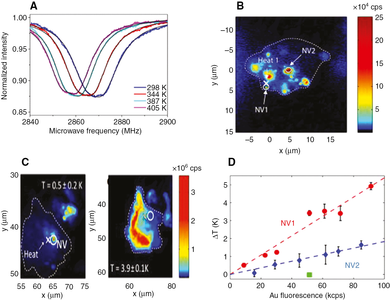 Figure 10: An optical temperature sensing application of FNDs (NV color center) in living cells.(A) ODMR spectra of the NV color center change as a function of local temperature changes [27]. (B) A single living cell injected with fluorescent nanodiamonds and gold nanoparticles (Au NPs) as the heating source and nanoscale thermometer, respectively, followed by excitation under 532 nm. The position of the Au NP is indicated by small cross, while circles represent the location of the NV color centers in nanodiamonds used for thermometry. (C) Measurement of temperature changes precisely as the laser power increases with 0.1 K precision. (D) The change in temperature at the position of NV1 and NV2 relative to the incident laser power applied to the Au NP. Adapted from [120].