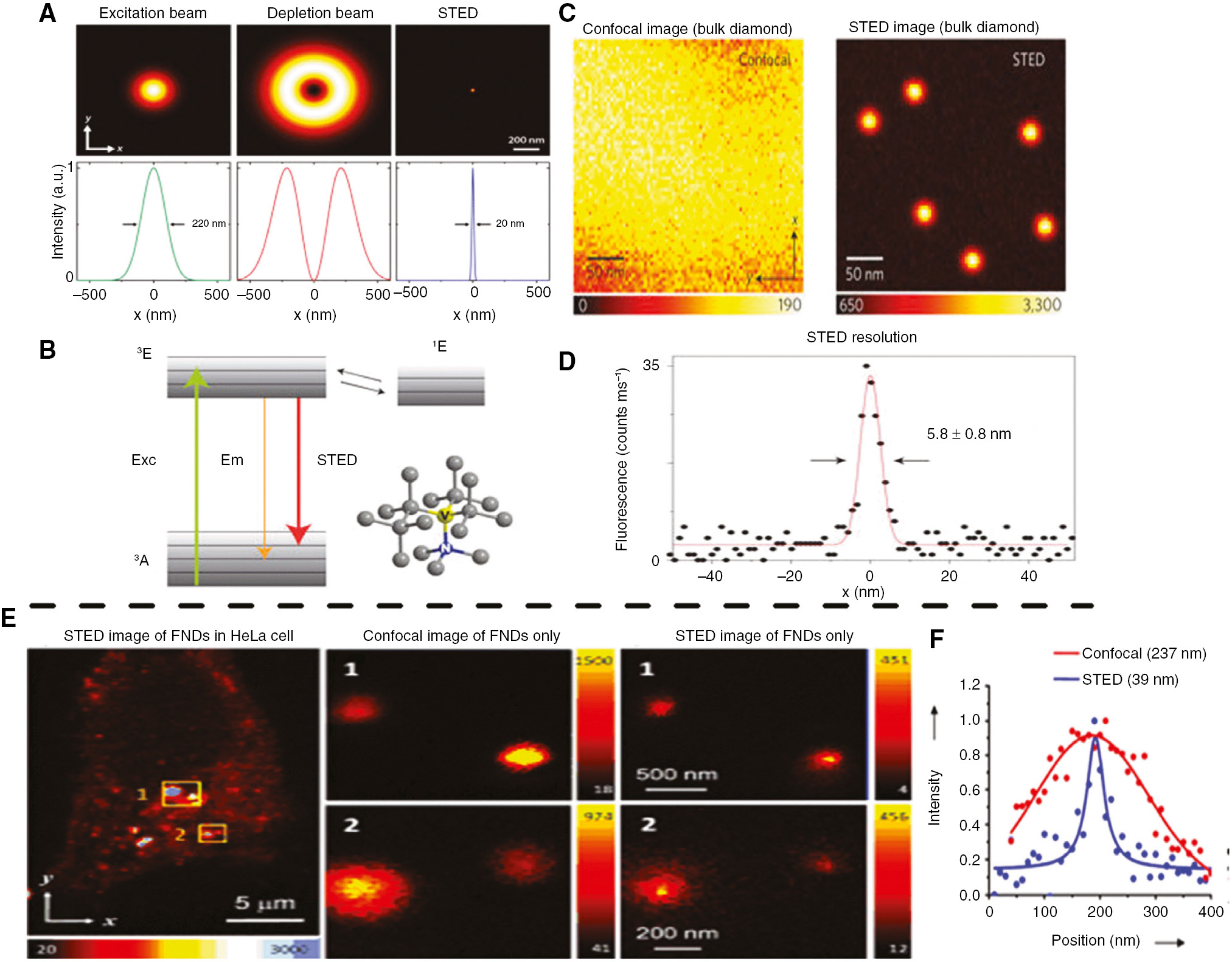 Figure 12: Applications of FNDs (NV center) in super-resolution imaging.(A) An illustration of STED microscopy technique. Adapted from [134]. (B) Energy levels of the triplet (left) and singlet states (right) of the NV center and the excitation beam (EXC), emission beam (Em), and stimulated emission (STED) transitions in nitrogen-vacancy centers. (C) Confocal and STED optical image of bulk diamond containing NV color centers. (D) STED high resolution for NV center in diamond, which reveals high spatial resolution reaching 5.8±0.8 nm. Adapted from [135], [136]. (E) Confocal and STED imaging of HeLa cells labeled with BSA-conjugated FNDs through electroporation. STED images of single BSA-conjugated FND particles enclosed within the yellow boxes “1” and “2”. (F) Display of confocal and STED resolution of NV centers within diamond nanocrystals. Adapted from [137].