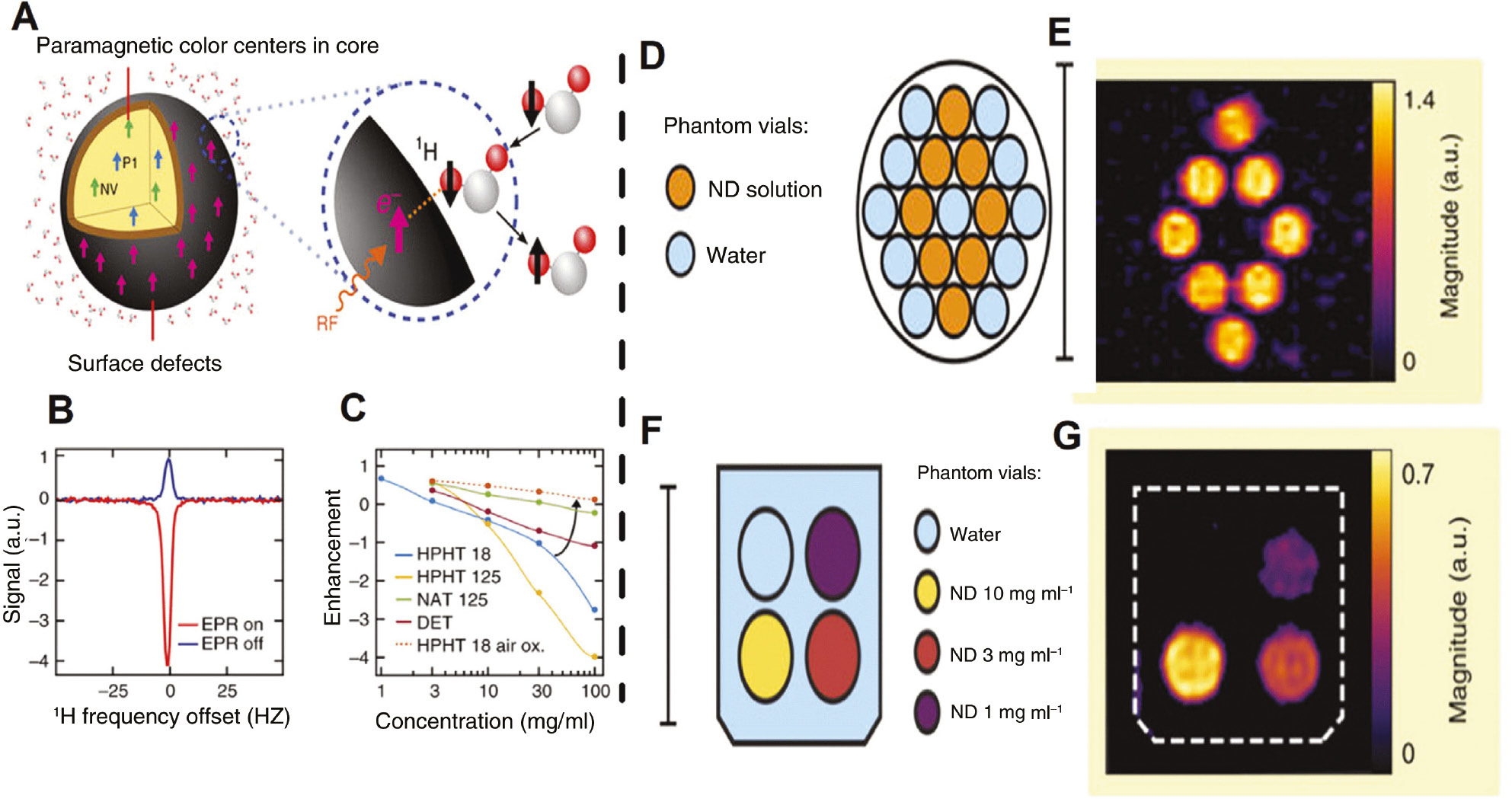 Figure 15: Hyper-polorization applications of nanodiamonds.(A) An illustration of the Overhauser effect at the ND–water interface. (B) Overhauser enhancement of 1H polarization in an HPHT 125 nm (100 mg/ml) ND solution (red). While the thermal hyperpolarized 1H spectrum is (blue). (C) Overhauser enhancement of 1H polarization as a function of NDs concentration at 6 mT. (D) Vials of DI water (blue) and vials of HPHT 125 nm ND at 100 mg/ml (orange) were arranged in a pattern in an imaging phantom. (E) High contrast OMRI image with high signal to noise ratio from only the vials where NDs are present. (F) Imaging phantom prepared with vials with different concentration of ND solutions. (G) ODMR contrast images that change as a function of the NDs concentrations. Adapted from [166].