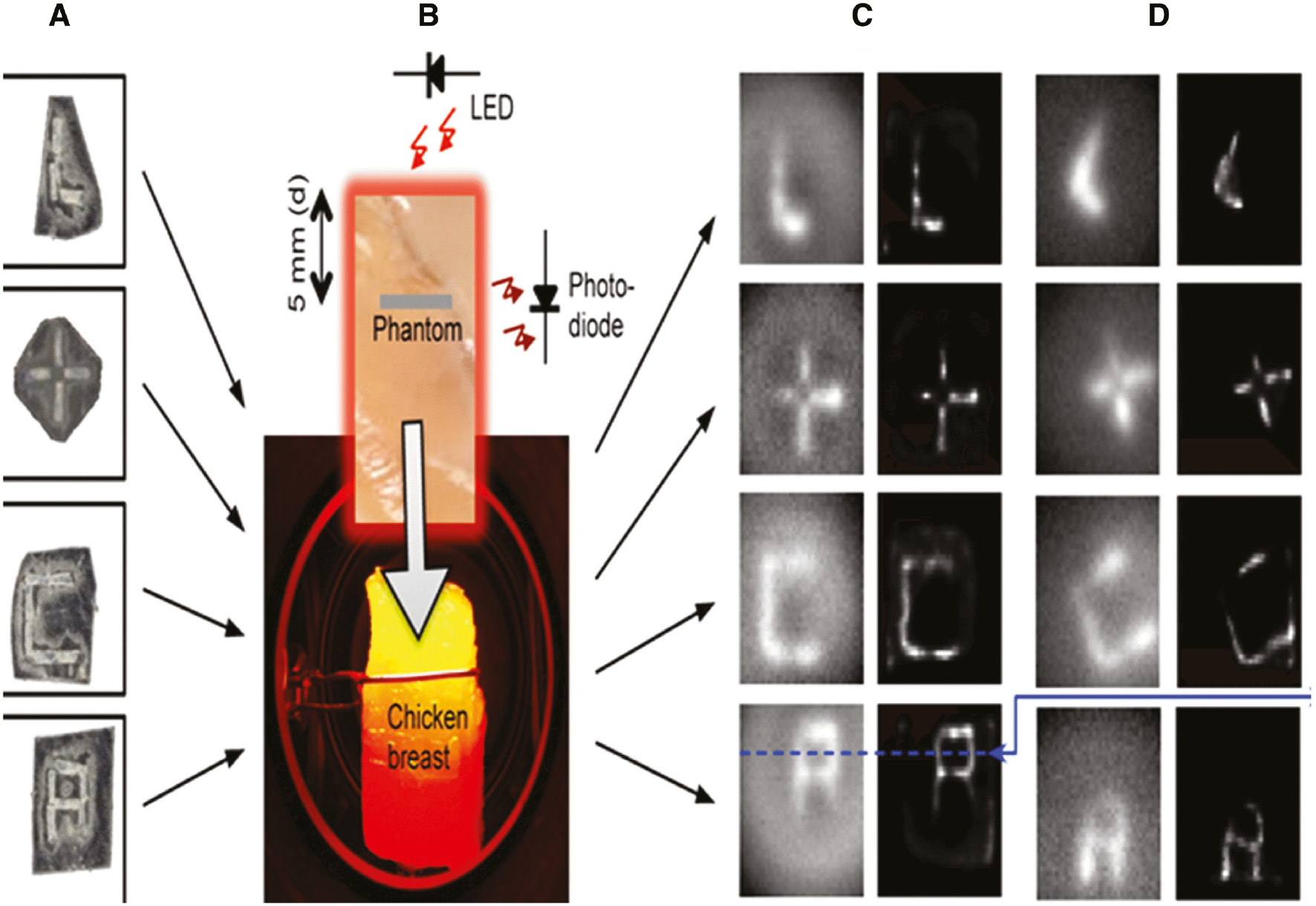 Figure 16: Nanodiamonds in high contrast molecular imaging.(A) Nanodiamond phantoms (with different patterns) made of double-sticky tape. (B) The gray stripe on the piece of chicken breast represents the edge of the phantom, which is placed inside the chicken breast, 5 mm back from the front surface, facing the LED. Fluorescence is collected off to the side. Also shown is the actual piece of chicken breast illuminated by the LED. (C) The phantoms imaged outside of the chicken breast, both before (left) and after (right) deconvolution by the point-spread function. (D) Same as (C) but under a 5-mm chicken breast. Adapted from [187].