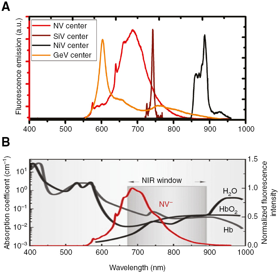 Figure 19: New fluorescent nanodiamonds in the biological transparency window.(A) Superimposed photoluminescence spectra of color centers in nanodiamonds (FNDs), namely, germanium-vacancy (GeV), nitrogen-vacancy (NV), silicon-vacancy (SiV), and nickel-vacancy (NiV). (B) The fluorescence spectra of all diamond color centers in (a) fit within the biological transparency window. The black, dark gray, and light gray curves are the absorption spectra of H2O, oxygen-bound hemoglobin (HbO2), and hemoglobin (Hb), respectively. Adapted from [61].