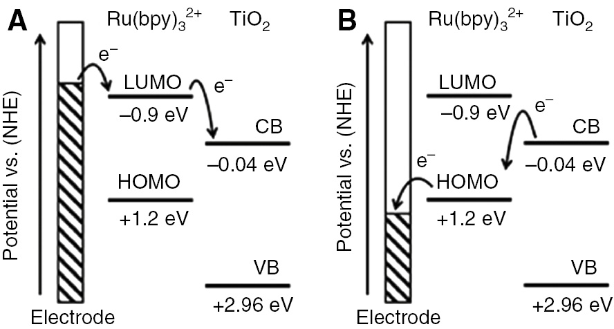 Figure 8: Schematic energy diagrams of Ru(bpy)32+ and TiO2, describing the (A) reductive and (B) oxidative reaction processes.Reprinted with permission from Ref. [46]. Copyright (2016) The Royal Society of Chemistry.