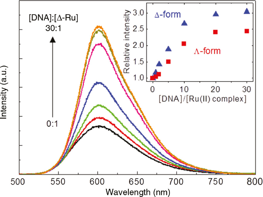 Figure 11: Photoluminescence spectra of the DNA/Δ-Ru(II) complex in aqueous solution at various [DNA]:[Ru(II)] ratios.The concentration of Ru(phen)32+ was 0.10 mm, and the excitation wavelength was 450 nm. Inset: Normalized emission intensity of the DNA/Δ-Ru and Λ-Ru(II) complexes in aqueous solution at various [DNA]/[Ru(II)] ratios. Reprinted with permission from Ref. [60]. Copyright (2018) SPIE.