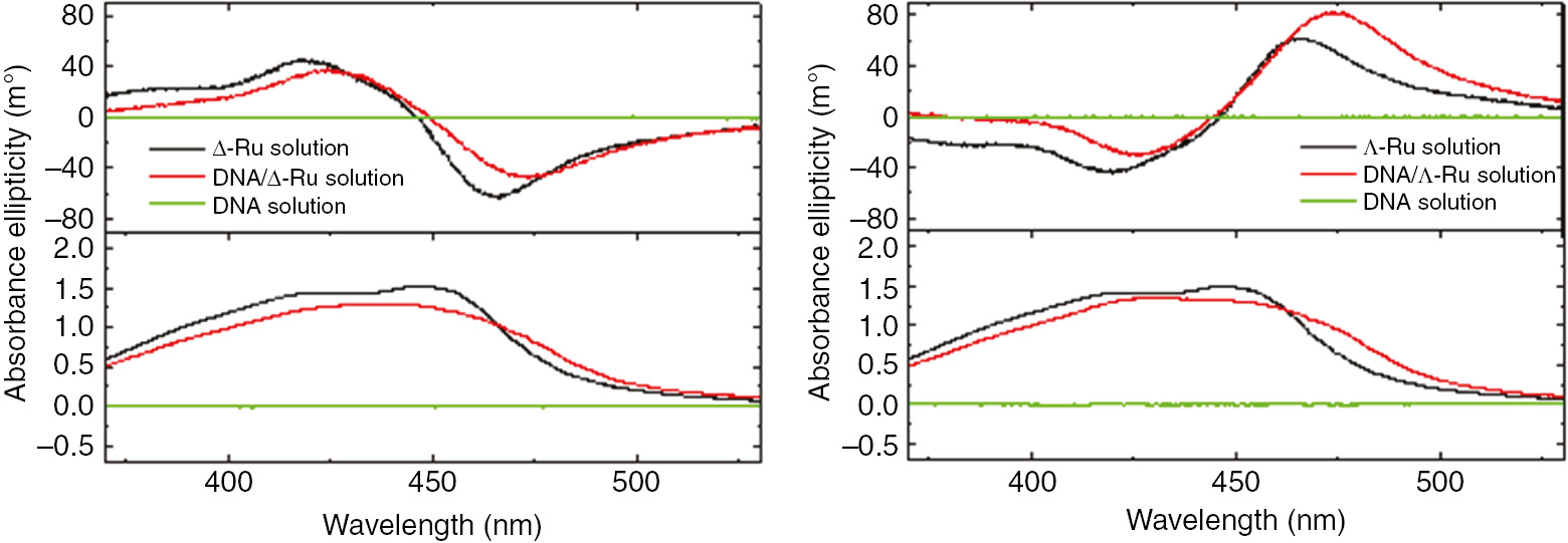 Figure 12: CD and absorbance spectra of Δ-, Λ-Ru(phen)32+, DNA, and DNA/Δ-, Λ-Ru(phen)32+ solutions.The concentration of Ru(phen)32+ was set to 0.10 mm and the optical path length was 1.0 cm. Reprinted with permission from Ref. [60]. Copyright (2018) SPIE.