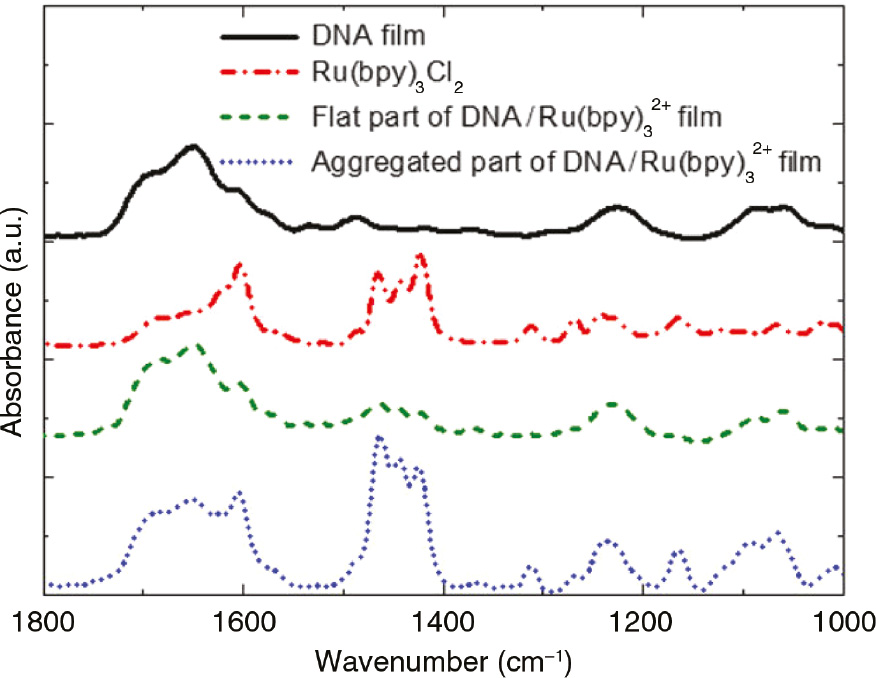 Figure 14: Micro FT-IR spectra of the DNA/Ru(bpy)32+ hybrid and pure DNA films on the ITO electrode and the spectrum of Ru(bpy)3Cl2.Reprinted with permission from Ref. [69]. Copyright (2017) Springer Nature.