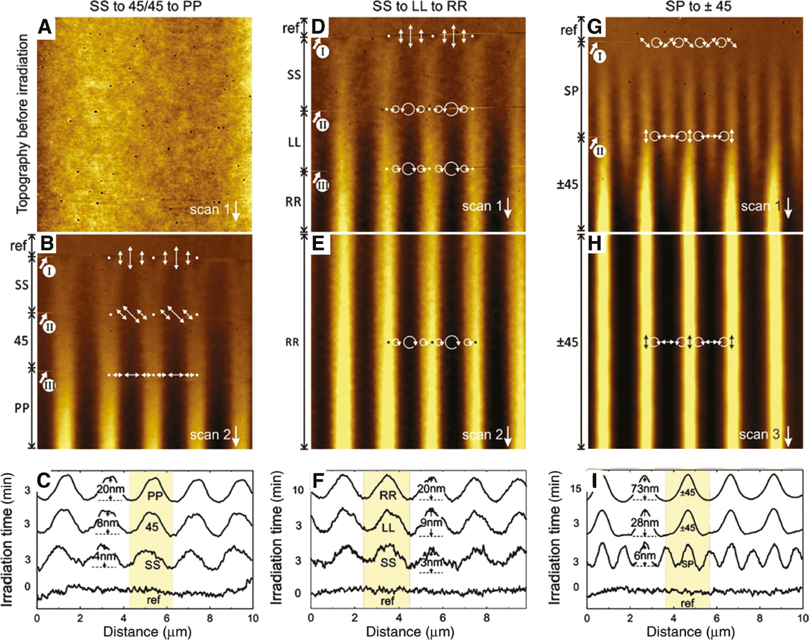 Figure 4: SRGs induced by different polarization combination and recorded by real-time in situ AFM.The vertical direction in the AFM images corresponds to a time axis. (A) Topography before the irradiation. (B) Time evolution of the film topography obtained by switching the polarization of the two interfering beams from S-S to 45°-45° to P-P at the positions indicated by the Roman numbers. (D–E) Same as before for polarization switches from S-S, to left circular (L-L) and to right-circular (R-R). (G–H) Same as before for the pure polarization interference patterns produced by S-P and +45°/−45° polarized beams. The topographic profiles relative to each polarization configuration are shown in panels (C, F, I). Reprinted from [121] with permission from Springer, copyright 2013.