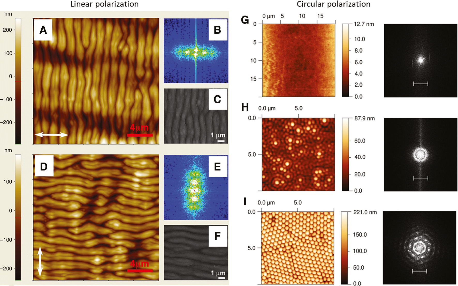 Figure 5: SSRGs generated by linearly and circularly polarized single beams.AFM images (A and D), 2D Fourier transform (B and E) and SEM images (C and F) of the SSRGs induced by a collimated beam, linearly polarized along the two orthogonal directions indicated by the white arrows. (A–F) reproduced from Ref. [138] with permission from AIP Publishing. (G–I) AFM images and their relative Fourier transforms of the SSRGs at different exposure times obtained with a circularly polarized beam. Adapted from Ref. [143] with permission from Elsevier.