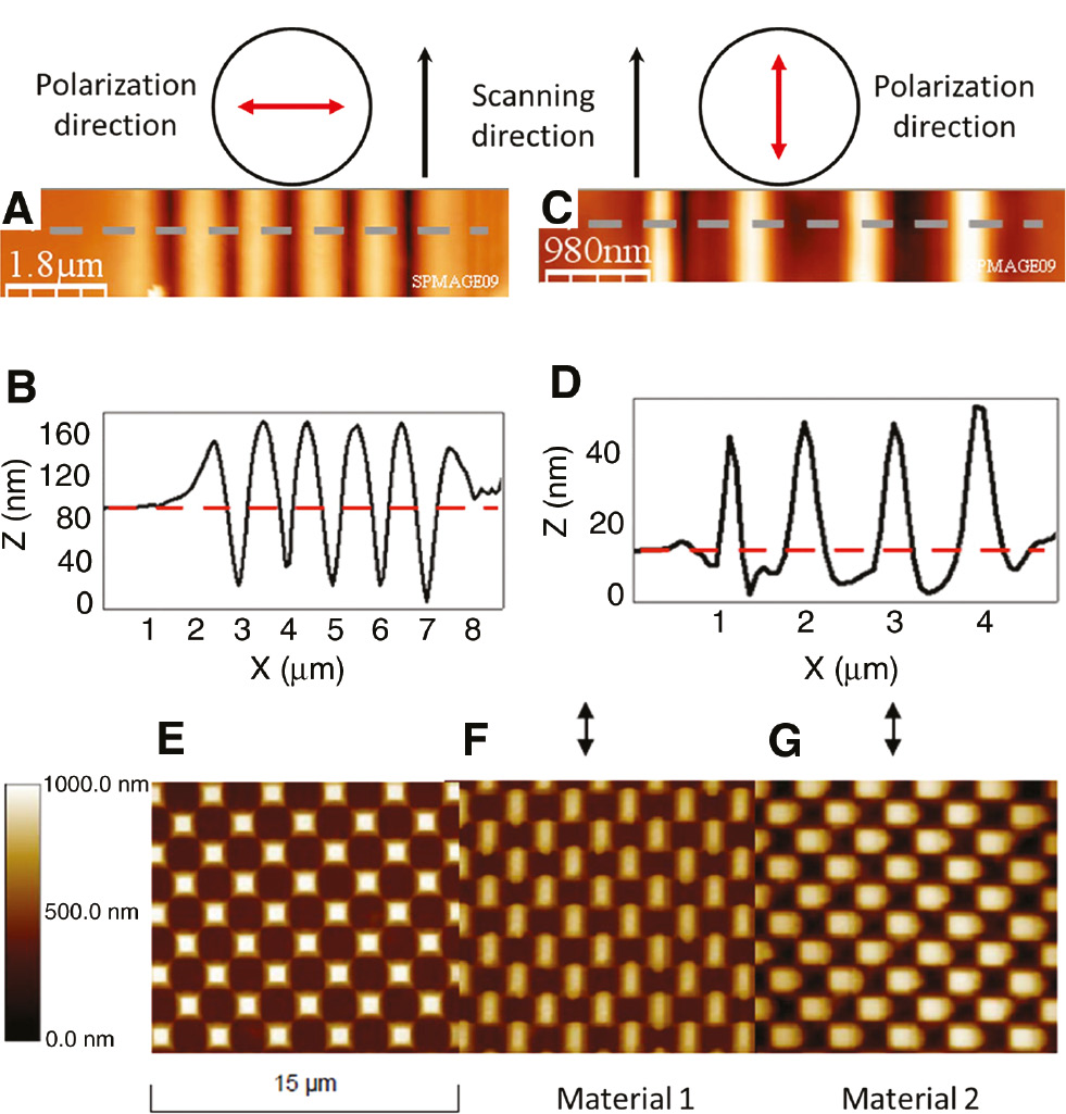 Figure 7: Dependence of the material displacement direction on illumination conditions and chemical nature of azomaterial systems.AFM images and topographic profiles of the surface reliefs generated onto an azopolymer by a scanning focused laser beam linearly polarized in the direction orthogonal (A–B) and parallel (C–D) to the fast scanning direction. Adapted from Ref. [73] with permission from AIP Publishing. (E) A pristine array of square micro-posts (E) deformed in the direction parallel (F) or orthogonal (G) to the linear light polarization depending on the chemical nature of the employed azomaterial. Reproduced with permission from Ref. [168].