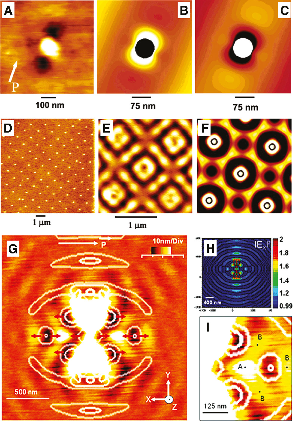 Figure 9: Photochemical imaging of optical fields in the form of surface reliefs.(A) Topographic image and (B) theoretical calculation of the near field distribution generated by a linearly polarized beam (white arrow) around an azopolymer-coated silver nanoparticle. (E) Surface reliefs generated by the irradiation of an array of azopolymer-coated silver nanoparticles (D) with circular polarization. Panels (C) and (F) show the negative images of the predicted intensity patterns in the two polarization configurations. Adapted with permission from Ref. [187], copyright 2005, American Chemical Society. (G) and (I) AFM images of the topographic modulation of an azopolymer film covering a bowtie nanoantenna, irradiated with a x-polarized beam. The predicted intensity profile along the x direction is shown in panel (H). Reprinted with permission from Ref. [188], copyright 2008, American Chemical Society.