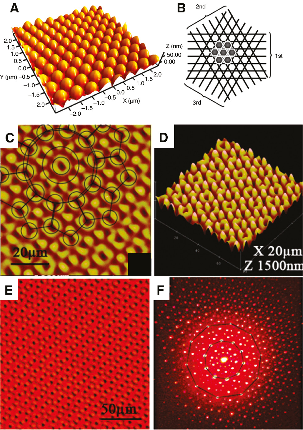 Figure 10: Complex SRGs from multi-step irradiation.(A) AFM image of the SRGs generated by rotating the azopolymers by 120° in three subsequent irradiation steps (B). (A–B) Reproduced with permission from Ref. [193], copyright 2008, The Japan Society of Applied Physics. (C–D) Topographic images of quasi-crystal superficial structure resulting from five illumination steps, each at π/5 sample rotation angle. Optical image (E) and He-Ne diffraction pattern (F) of the 10-fold quasicrystal SRGs. (C–F) Adapted with permission from Ref. [91], copyright 2008, American Chemical Society.