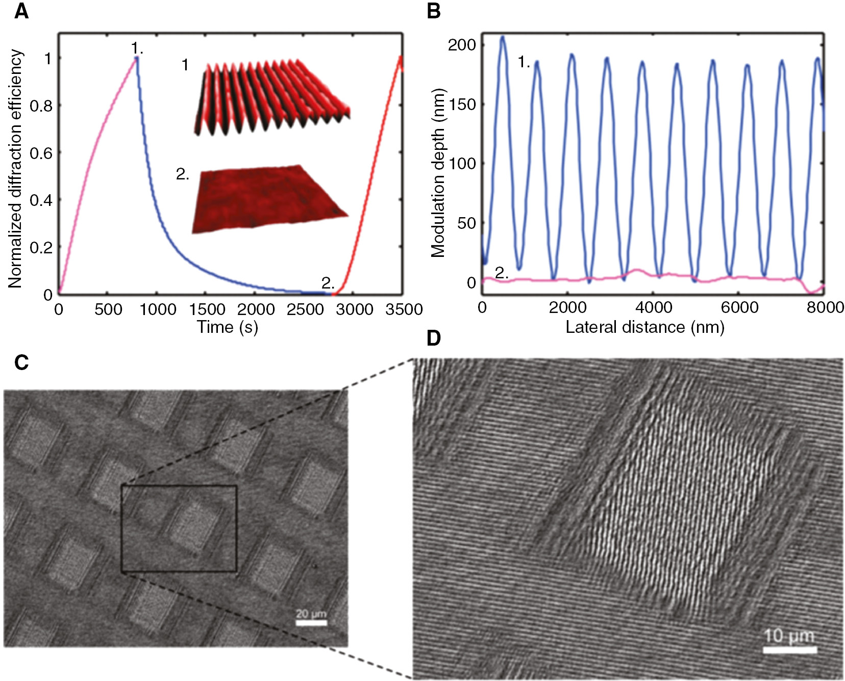 Figure 11: Erasure and rewriting of SRGs in different directions.(A) Normalized first-order diffraction efficiency relative to one-dimensional SRG inscription (magenta), optical erasure (blue) and rewriting (red) processes in a supramolecular azomaterial. The inset shows 3D AFM images of the inscribed (1) and the erased film (2), while their topographic profiles are presented in panel (B) by the blue and magenta curves, respectively. (C–D) Scanning electron microscopy images of the spatially structured azomaterial surface created by first optically erasing a previously inscribed SRG through a transmission mask and then rewriting a new SRG pattern through the same mask. Reproduced from Ref. [76] with permission from the Royal Society of Chemistry.