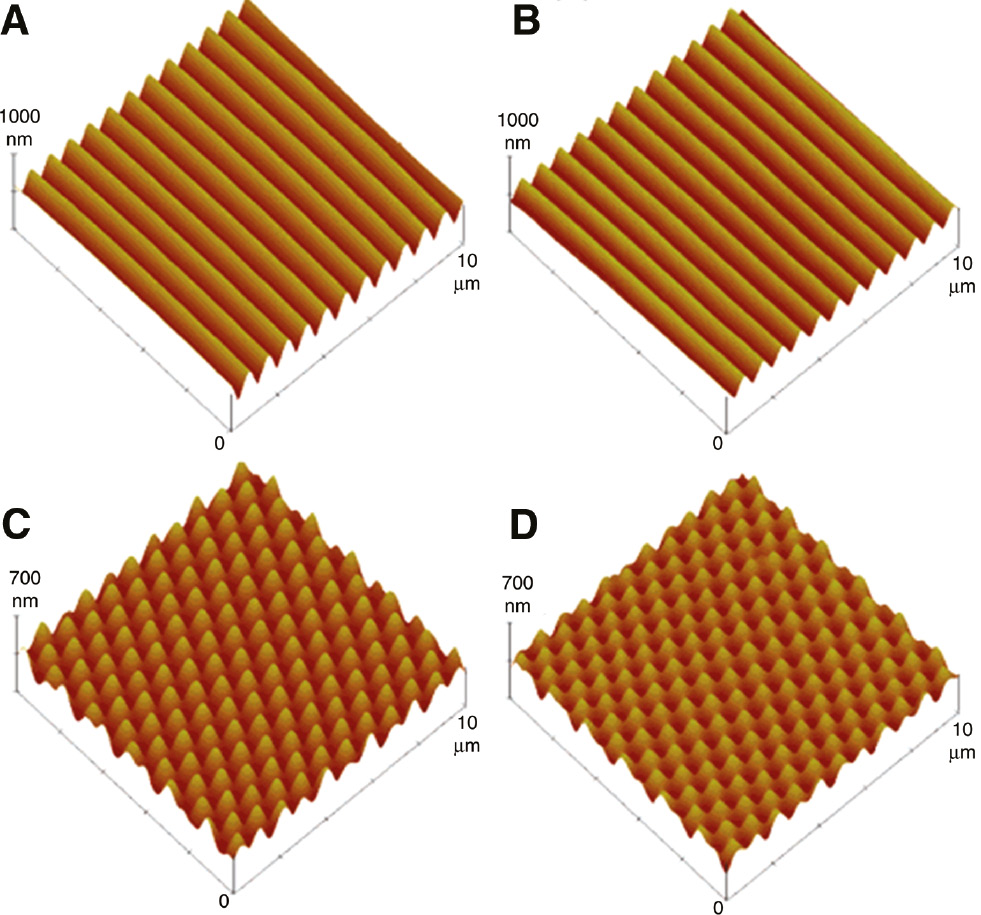 Figure 14: Soft lithographic replica of azopolymer SRGs through PDMS stamps.AFM images of the azopolymer masters (A and C) and relative PDMS replica (B and D) for one-dimensional and bi-dimensional SRGs. Adapted with permission from Ref. [252], copyright 2006, American Chemical Society.