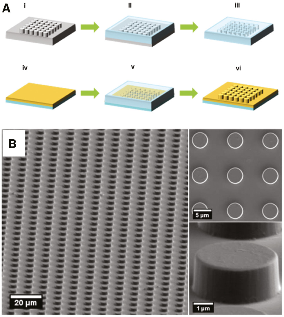 Figure 16: Preparation of solvent-assisted prestructured azomaterial surfaces.(A) Schematic representation of the fabrication steps required for the preparation of the textured azomaterial surface. The PDMS stamp is obtained from a lithographically fabricated silicon master (subpanels i–iii) and is then used to transfer, after the solvent evaporation (iv–v), the original texture onto the polymer film (vi). (B) SEM images of an array of cylindrical micropillars fabricated by the soft-imprinting process exemplifying the high quality achievable in the replicated textures. Reproduced with permission from Ref. [267], copyright 2017, American Chemical Society.