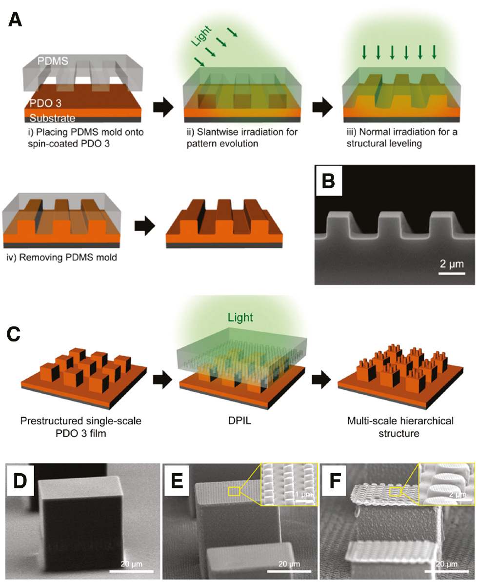 Figure 17: Fabrication of the prestructured azopolymer surfaces by means of the proximity field nanopatterning technique.(A) Schematic representation of the illumination configuration of a flat azopolymer film through the transparent structured PDMS stamp placed in tight contact with the azopolymer surface during irradiation. This all-optical patterning method is able to produce high-quality 3D microstructures (B) and even complex hierarchical textures (C–F). Adapted with permission from Ref. [269], copyright 2017, American Chemical Society.