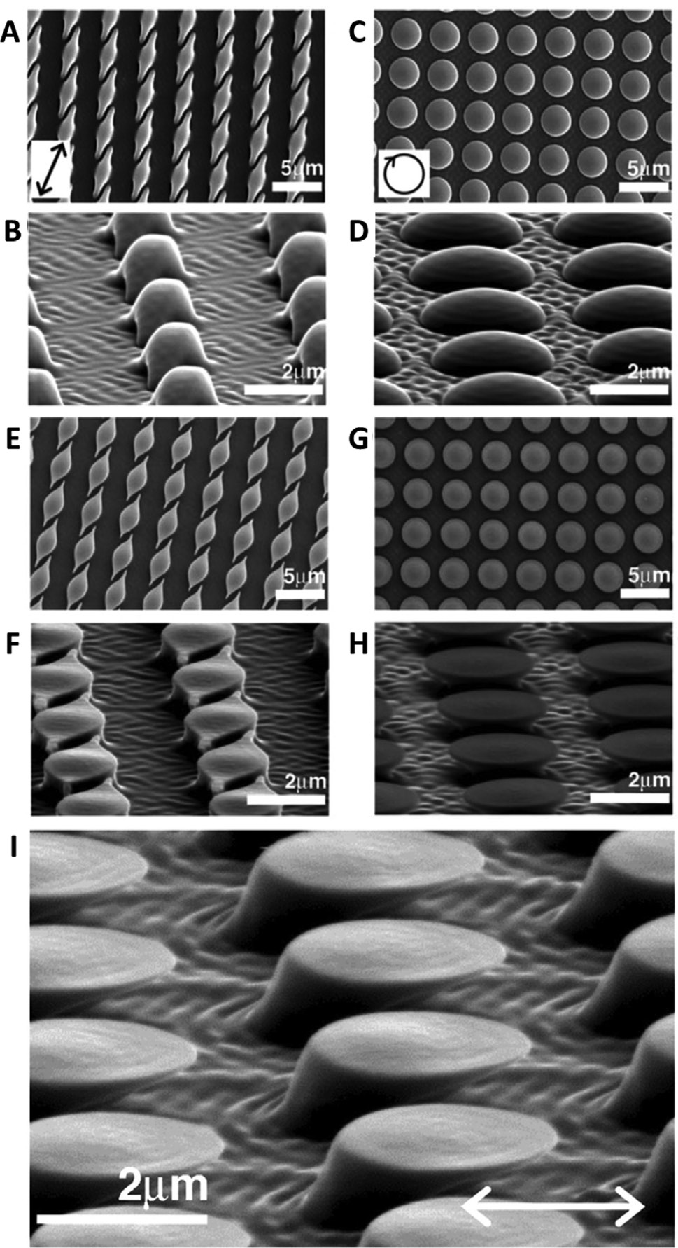 Figure 18: Azopolymer microstructures obtained from the irradiation of an array of cylindrical microposts in different configurations.(A–B) and (C–D) SEM images of the structures resulting from the irradiation of the pristine array with linearly polarized and circularly polarized beam, respectively. (E–F) and (G–H) SEM images of the flat-top structures produced in the same previous polarization configuration but including a PDMS capping layer during the light exposure. (I) SEM image of the flat-top asymmetric tilted pillars obtained under irradiation of the light at the incidence angle of φ=40° through the PDMS capping layer. Adapted with permission from Ref. [178], copyright 2015, American Chemical Society.