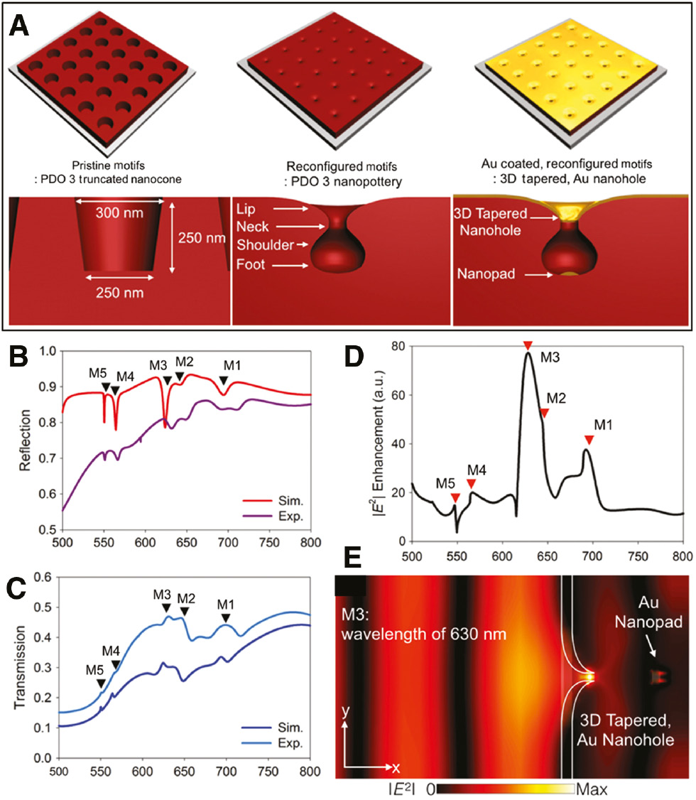 Figure 21: Light nano-focusing through the reconfigured array of nano-holes covered by a thin metallic layer.(A) Schematic representation of structure of the 3D tapered metallic nano-hole array obtained from the reconfiguration of a prestructured array of cylindrical azopolymer holes. Both experimental and simulated reflection and transmission spectra of the metallic nano-hole array presented in (C) and (D) show the presence of resonant plasmonic modes. The plasmonic mode M3 is expected to have high enhancement in the nano-hole (D), providing strong nano-focusing (E). Adapted from Ref. [299] with permission from Wiley and Sons, copyright 2014.