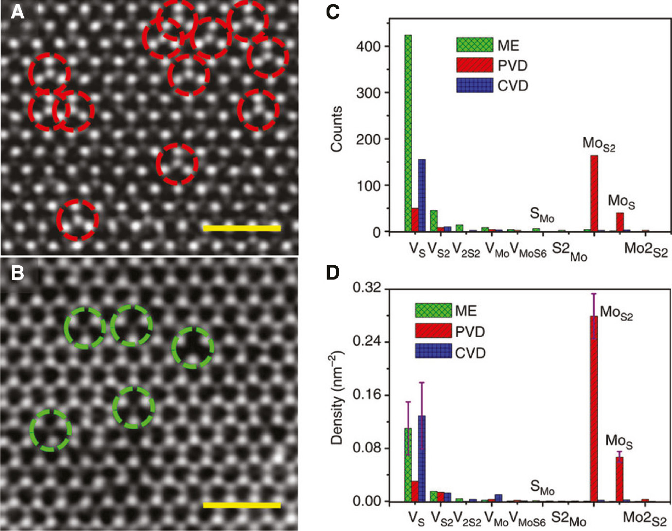 Figure 2: Growth related point defects, taken from Ref. [45].(A) Antisite defects in PVD MoS2 monolayer. Scale bar, 1 nm. (B) Vacancies including VS and VS2${{\rm{V}}_{{S_2}}}$ observed in ME monlayers, similar to that observed for CVD sample. scale bar 1 nm. (C, D) Histogram of various point defects in PVD, CVD, and ME monolayers. ME data are in green, PVD data are in red, and CVD in blue.