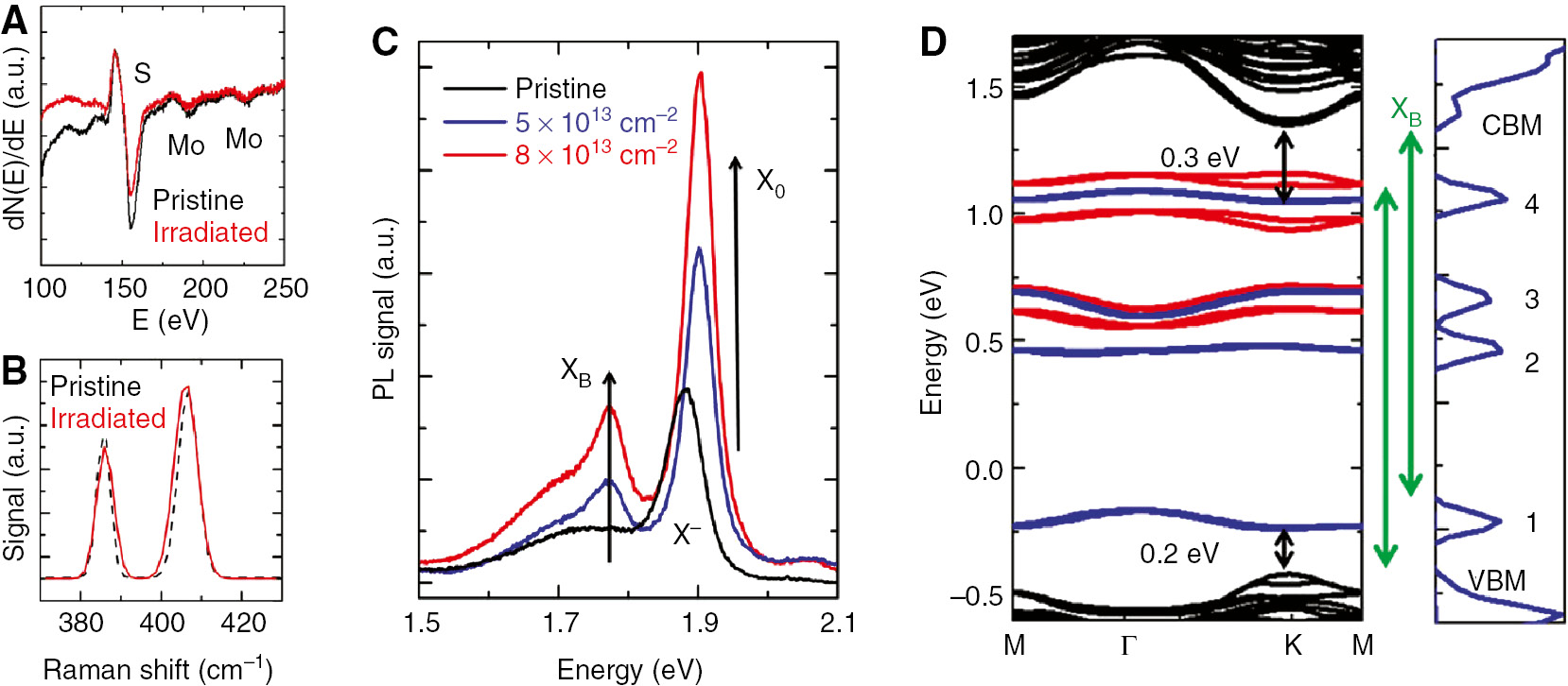 Figure 3: Defect-activated photoluminescence, taken from Ref. [50].(A) Nano-Auger spectrum taken on MoS2 before and after irrediation with α particles at dose 8×1013 cm−2. (B) Raman spectrum of the same. (C) PL spectrum for pristine and irradiated monolayers MoS2 at shown irradiation doses. The PL was taken at 77 K in N2 (50 Torr) environment with a constant laser excitation power. The irradiation-caused enhancement in bound exciton (X235.B) and free exciton (X0) emission intensity are indicated. (D) Calculated band structure of monolayer MoS2 in the presence of di-S vacancies. Red levels with in the band gap are levels appearing when S vacancies are introduced. Blue levels appear when N2 molecules interact with S vacancies. Right panel: Total density of states of the monolayer MoS2 with S vacancies in the poresence of N2. Here the modeled vacancy density is 7×1013 cm−2.