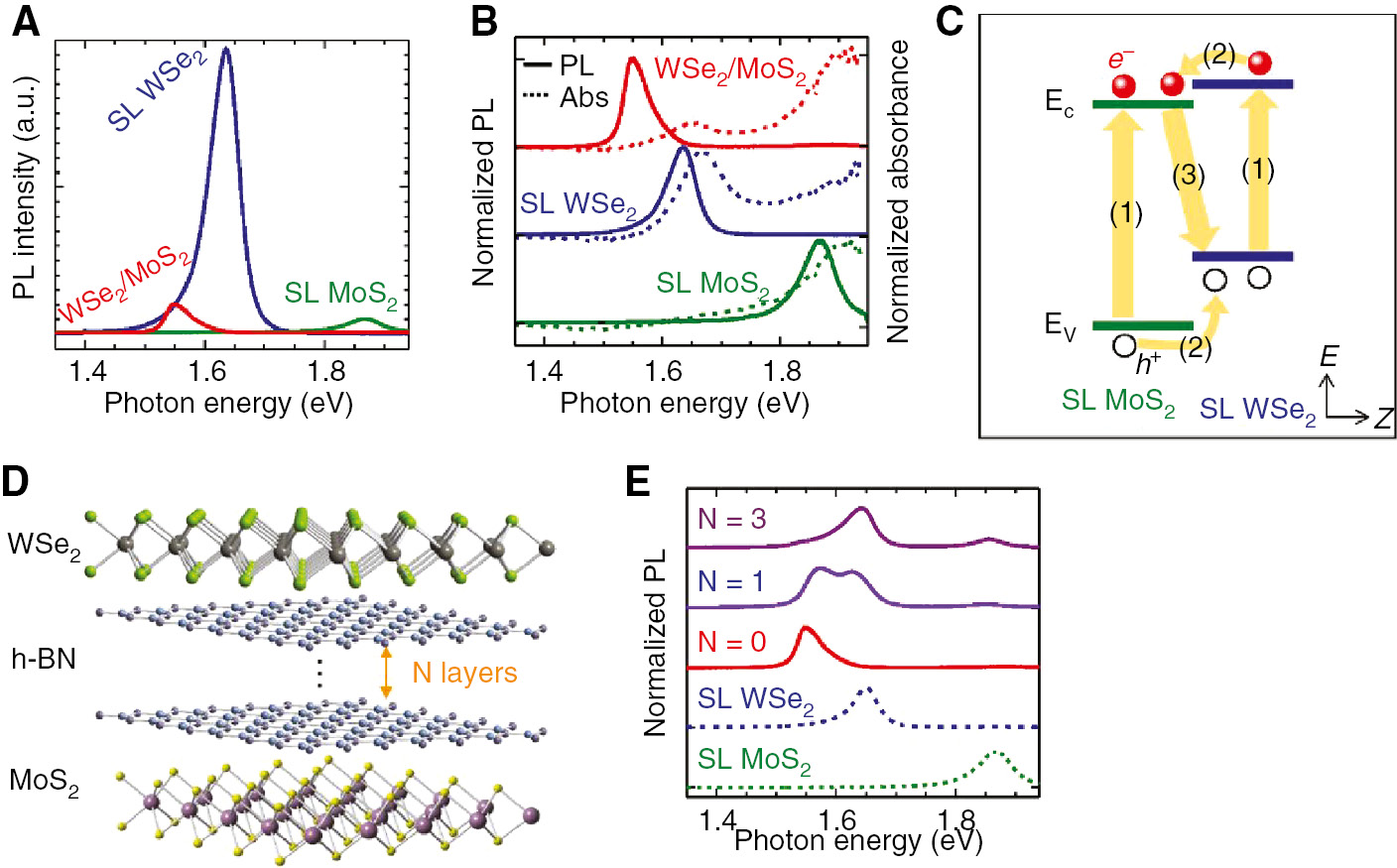 Figure 5: Photoluminescence and absorption from WSe2/MoS2 heterobilayers, taken from Ref. [58].(A) PL spectra of single-layer WSe2, MoS2, and the corresponding heterobilayer. (B) Normalized PL (solid lines) and absorbance (dashed lines) spectra of single-layer WSe2, MoS2, and the corresponding heterobilayer, where the spectra are normalized to the height of the strongest PL/absorbance peak. (C) Band diagram of WSe2/MoS2 heterobilayer under photoexcitation, depicting (1) absorption and exciton generation in WSe2 and MoS2 single layers, (2) relaxation of excitons at the MoS2/WSe2 interface driven by the band offset, and (3) radiative recombination of spatially indirect excitons. (D) An atomistic illustration of the heterostructure of SL WSe2/SL MoS2 with few-layer h-BN spacer in the vdW gap. (E) Normalized PL spectra from SL WSe2/SL MoS2 heterostructure with n layers of hexagonal boron nitrite (n=0, 1, and 3).