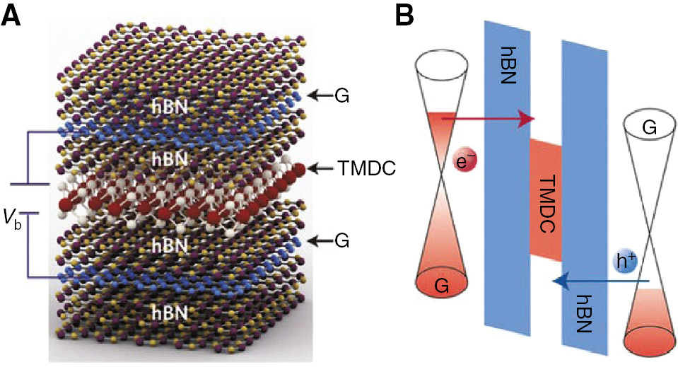 Figure 6: Van der Waals light-emitting diodes, taken from Ref. [62].Schematic of a van der Waal’s heterostructure operating as an LED. When a bias voltage Vb is applied to the graphene (G) electrodes, the injected charges recombine radiatively in the monolayer TMDC. (B) Band diagram of the LED with an applied bias. Electrons (e−) and holes (h+) from the graphene electrodes tunnel through the hexagonal Boron Nitrite dielectric layers (red and blue arrows) and reach the monolayer TMDC.