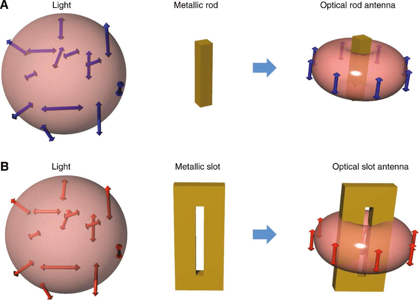 Figure 1: Metallic structures and optical antennas.(A) Schematics of metallic nanorods (left) and optical rod antennas (right). Arrows show random polarization vectors. (B) Schematics of metallic nanoslots (left) and optical slot antennas (right). Arrows show aligned polarization vectors in antenna radiations.