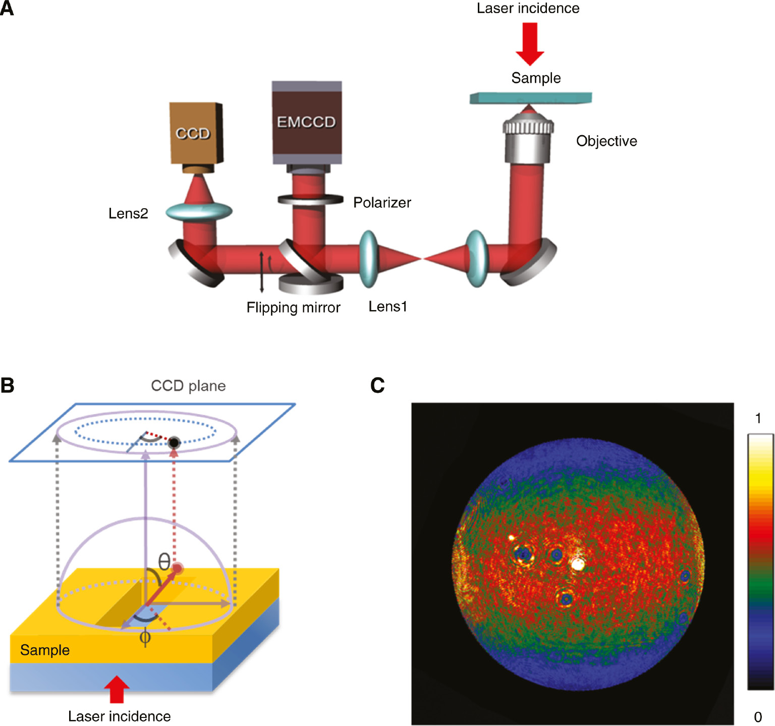 Figure 5: Fourier space measurement of far-field radiation from a metallic nanoslot.(A) Schematics of real and Fourier space image measurement set-up and (B) geometry of far-field radiation pattern and Fourier space image. The transmitted intensity of the red circle indicated by the red arrow and positioned at the coordinate qf(θ, ϕ) on 3D hemisphere is projected at the position of black circle in the 2D CCD plane. (C) Measured Fourier space image of the far-field radiation from a metallic nanoslot. The intensity was normalized by the intensity of incident light.