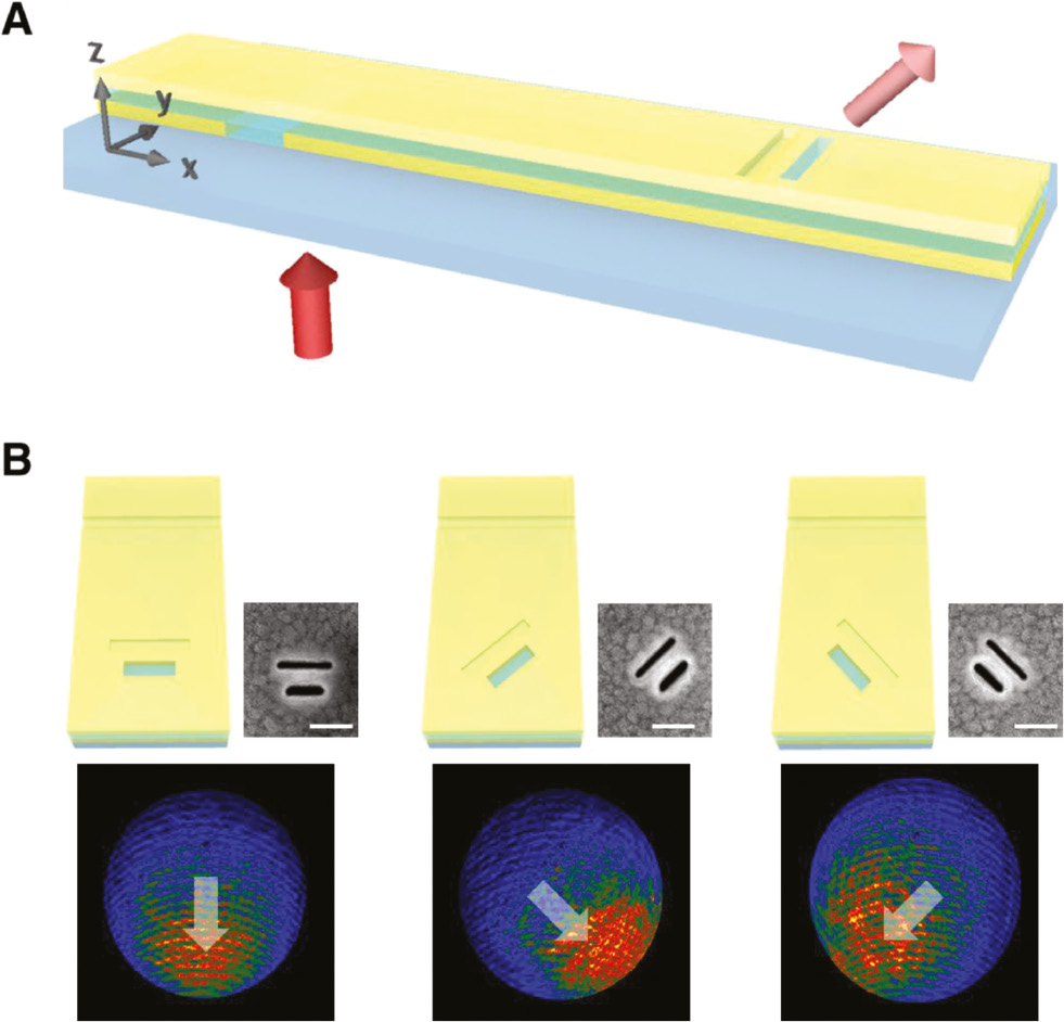 Figure 12: Integration of optical slot antennas with waveguides.(A) Schematics of optical slot antennas integrated to MIM plasmonic waveguides. The red arrows represent incident light launched from the bottom metal plane and radiation from the slot antennas to free space. (B) Schematics of optical slot Yagi-Uda antennas integrated to MIM waveguides (top left) and SEM images (top right) of the slot-groove structure that is parallel, rotated by 45°, and by −45° to the slit. The bottom images are the respective measured far-field radiation patterns. For ease of observation, thick white arrows are drawn on the measured images. White lines in the SEM images correspond to 200 nm.